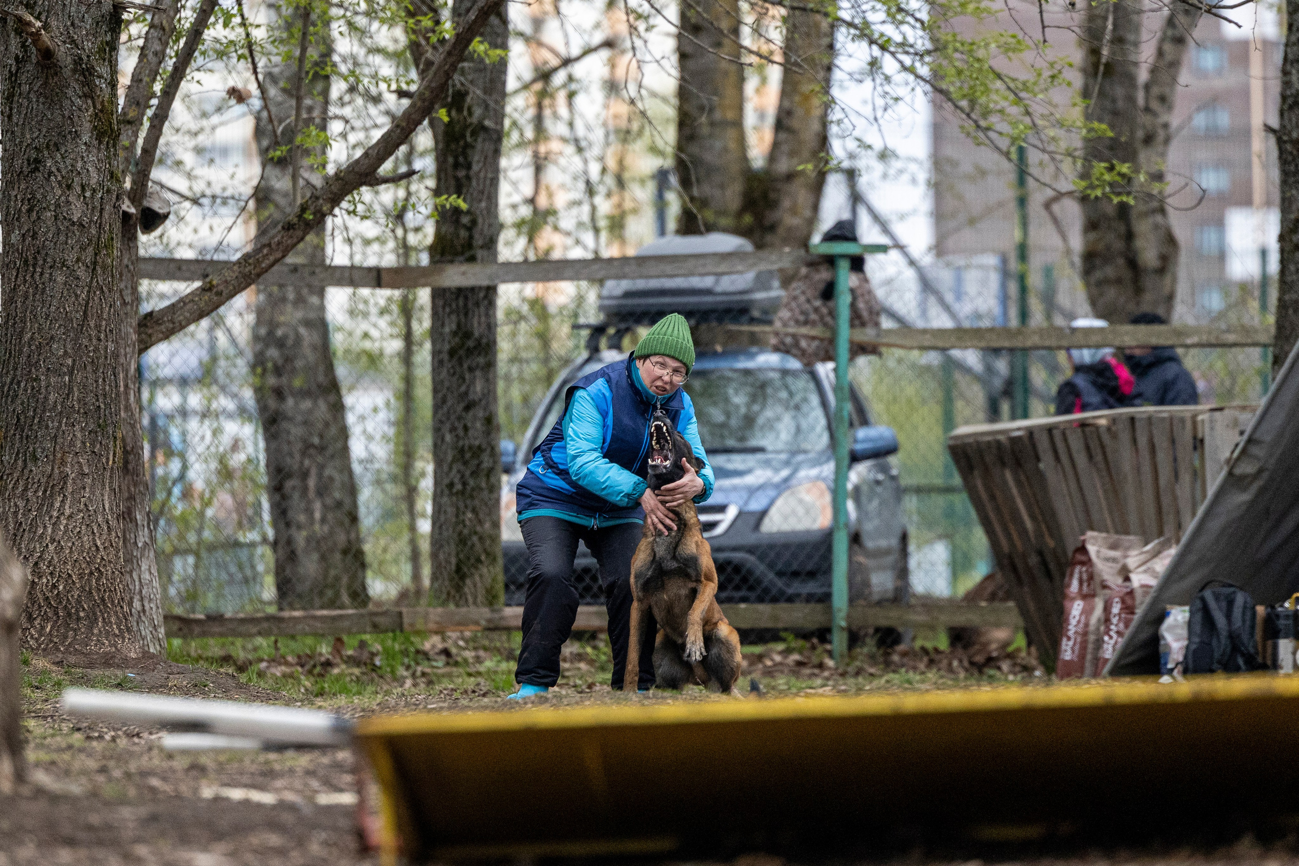 Квалификационные состязания по мондьорингу г. Вологда 11.05.24. Фотограф-анималист Анна Маринич