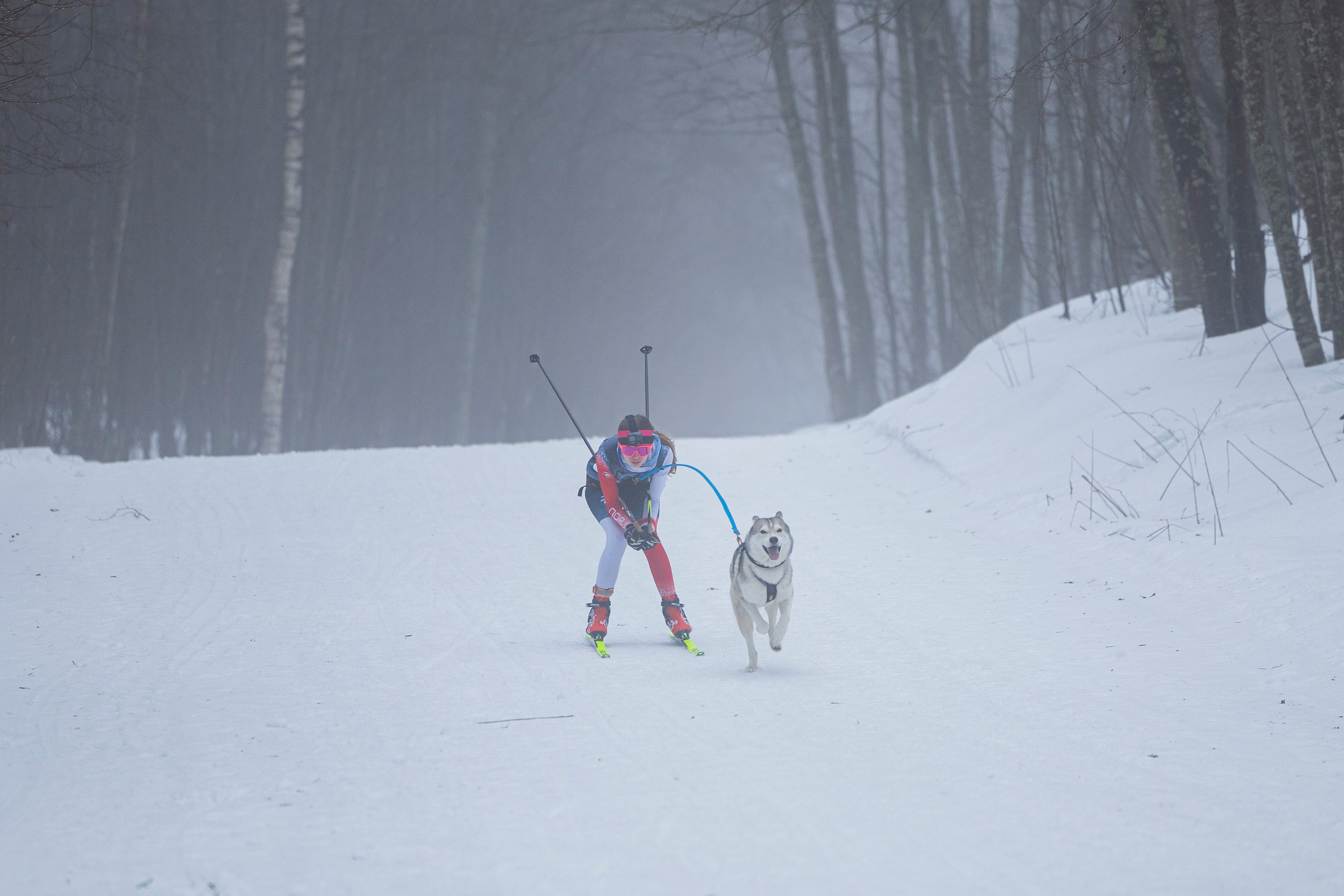 Зимний Чемпионат Санкт-Петербурга по ездовому спорту. Фотограф-анималист Анна Маринич