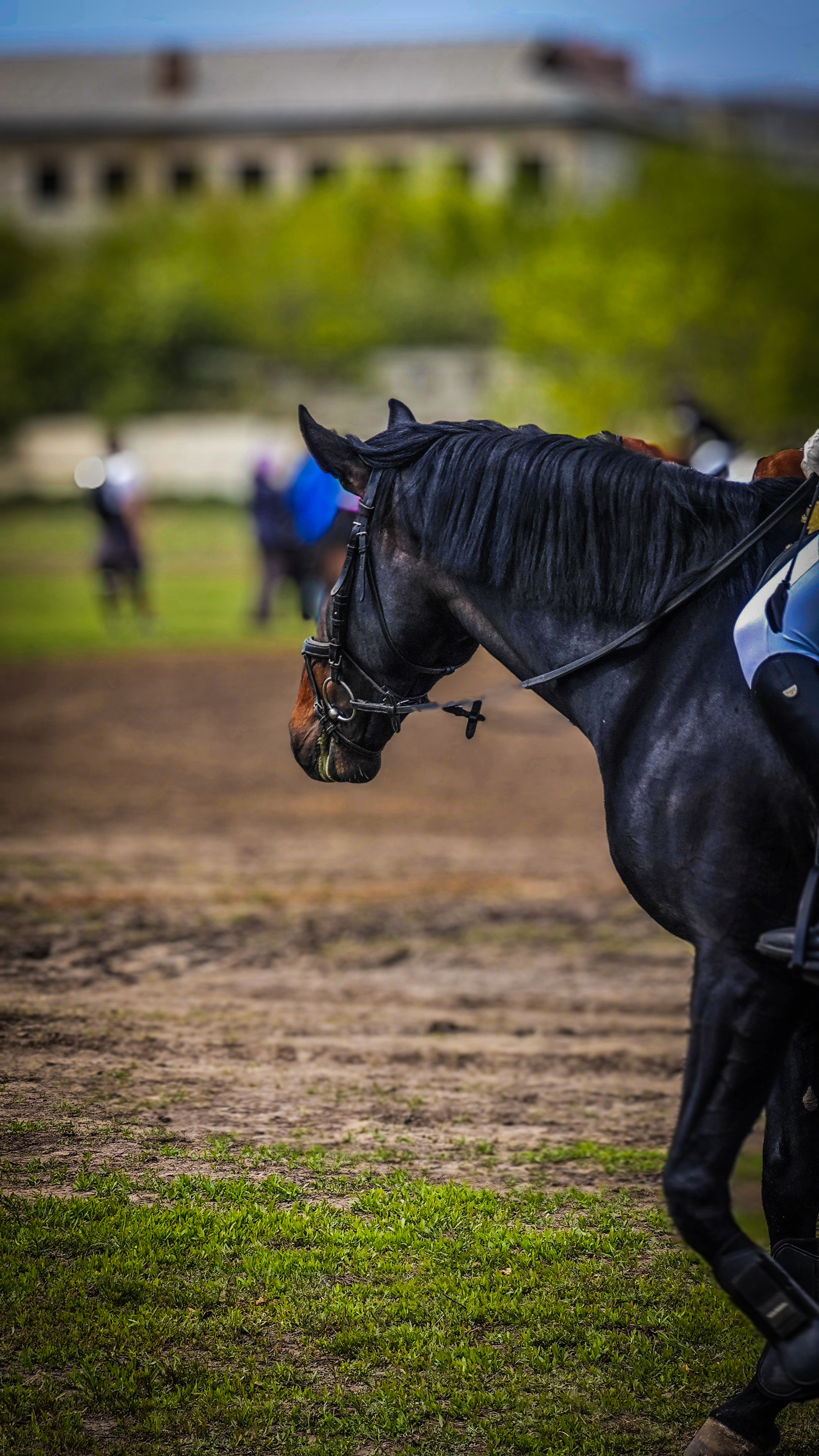 Красноярский ипподром. Открытие сезона 2025. Игорь Урывский. Фотограф Красноярск