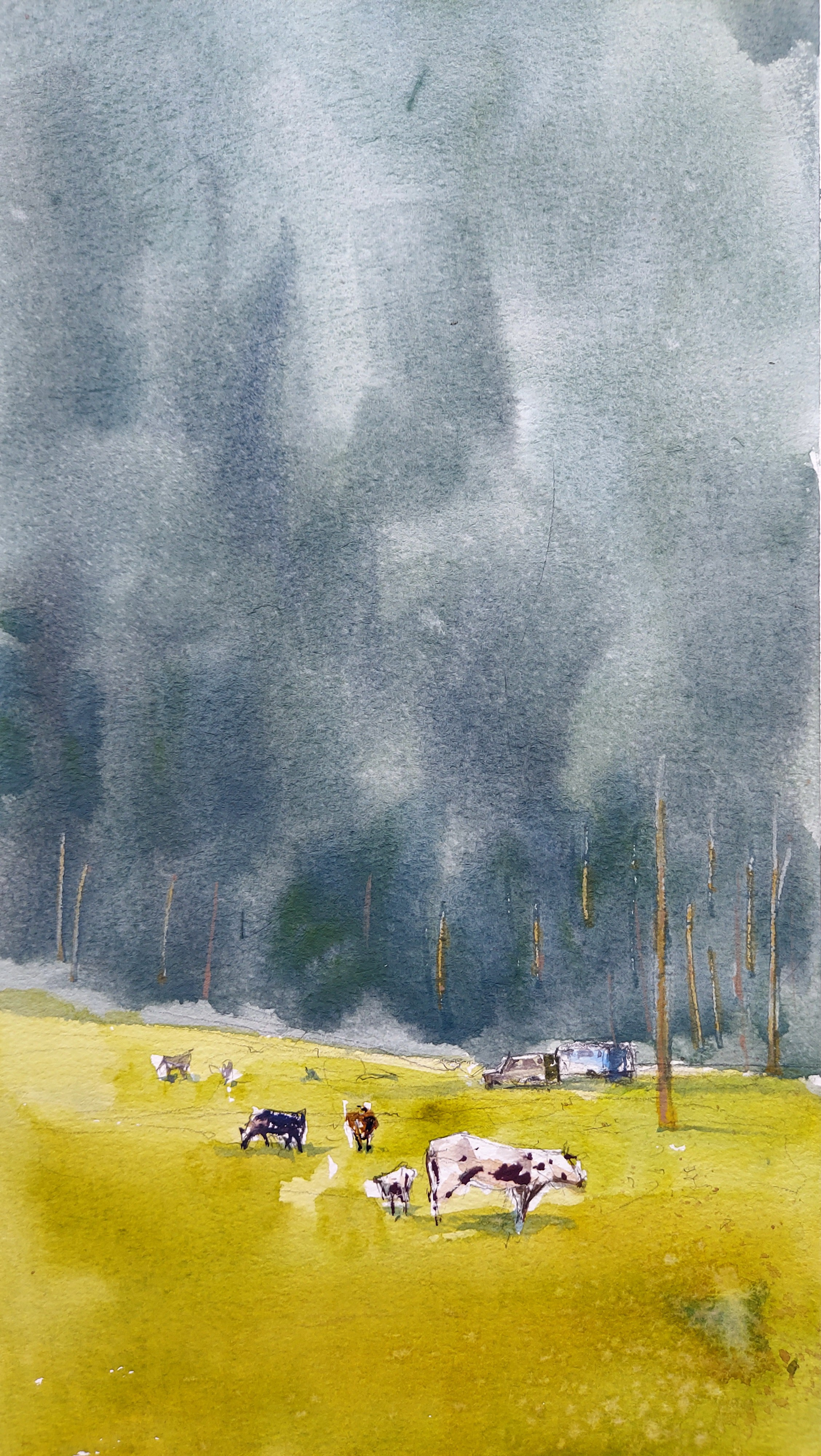 Askat | Altai Mountains, Russia | August 2025 |  Fragment of 18 x 53 cm (Half-A2)