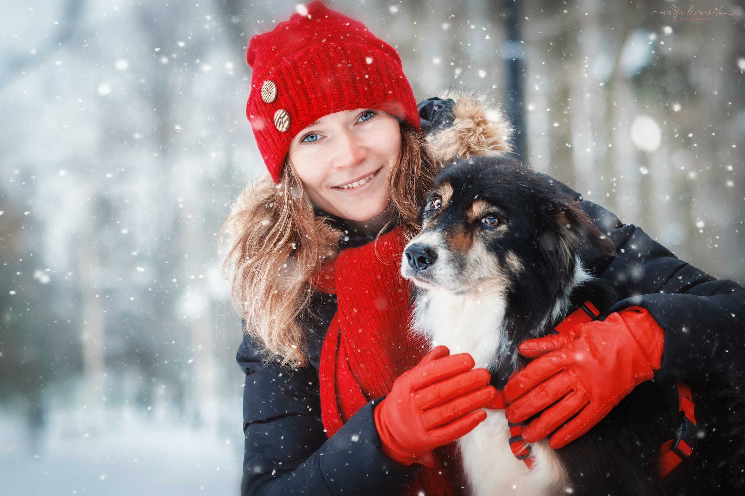 Рокки. Фотограф анималист Аня Ливанова | Рыбинск