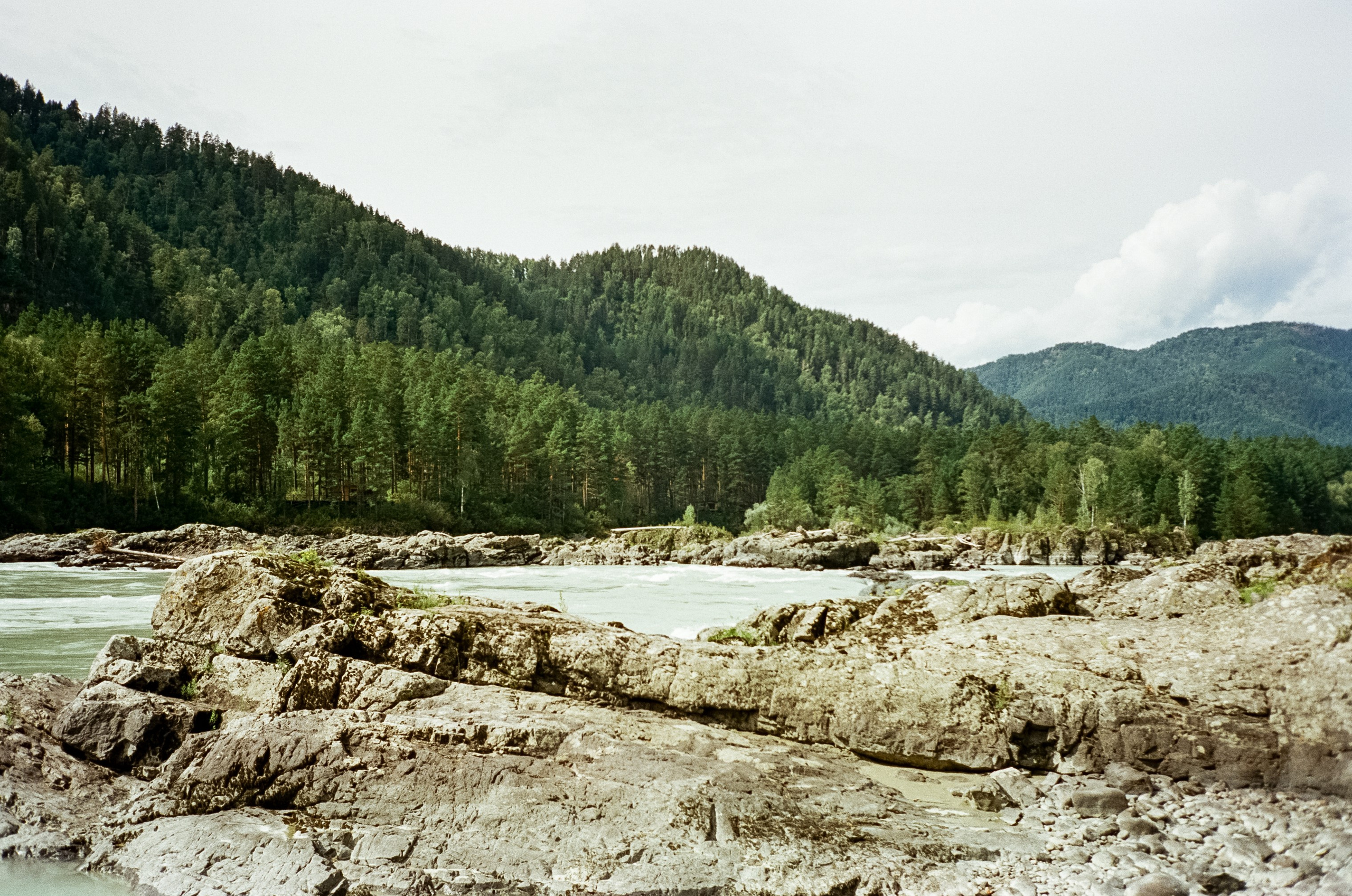 Кедровый остров, Катунь и скалы. Фотограф-документалист Мария Осокина