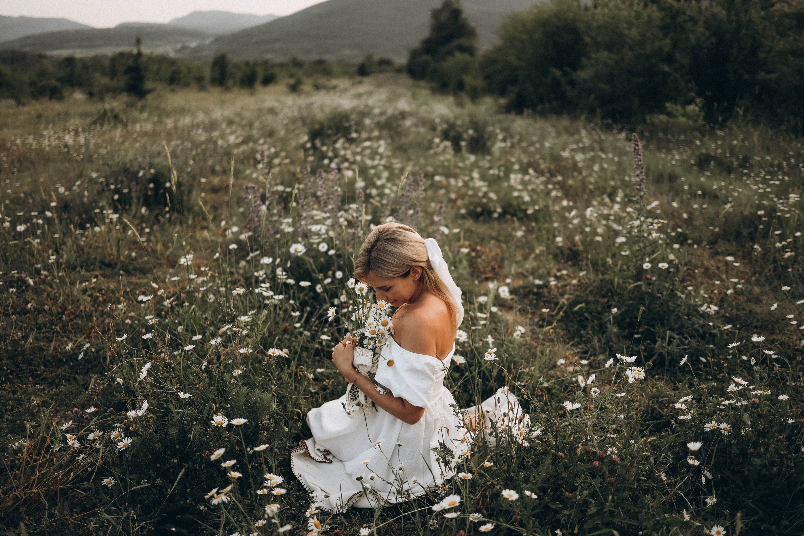 Ромашки. Фотограф Немазенко Ольга