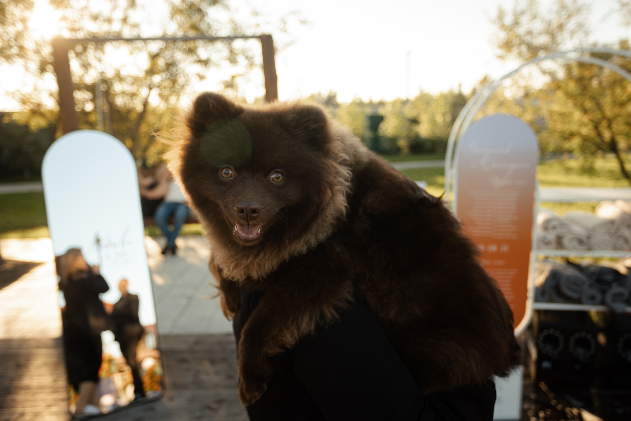 Влад и Катя. Фотограф Вячеслав Фарунин