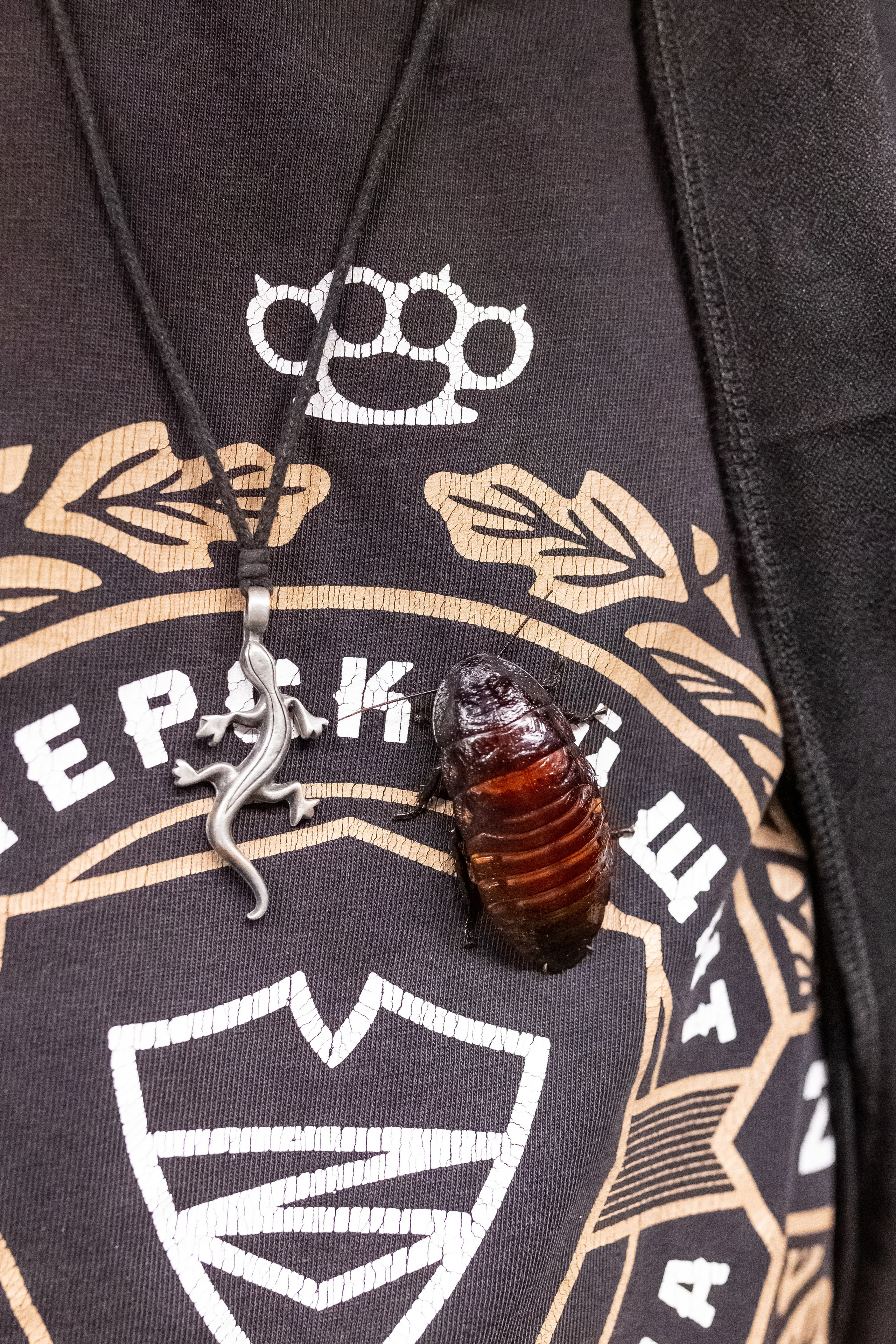 Рептилиум 2024. Александра Куликова фотограф, Москва