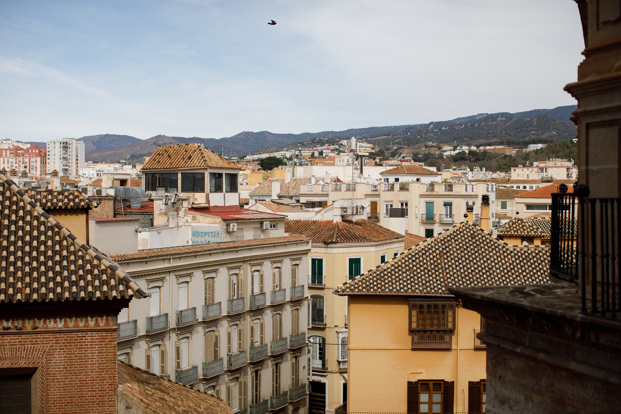 Малага 2024. Репортажный и портретный фотограф Русакова Жанна