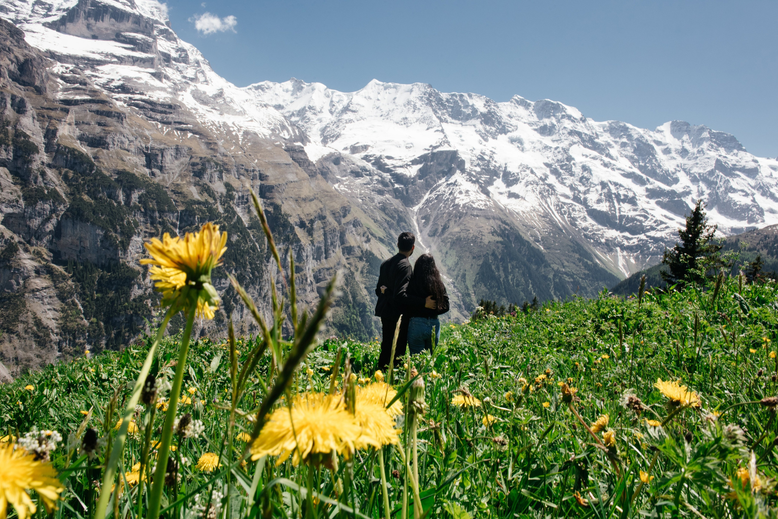 Safeen & Seemeen (Wengen, Murren, Iseltwald). Photographer in Interlaken area
