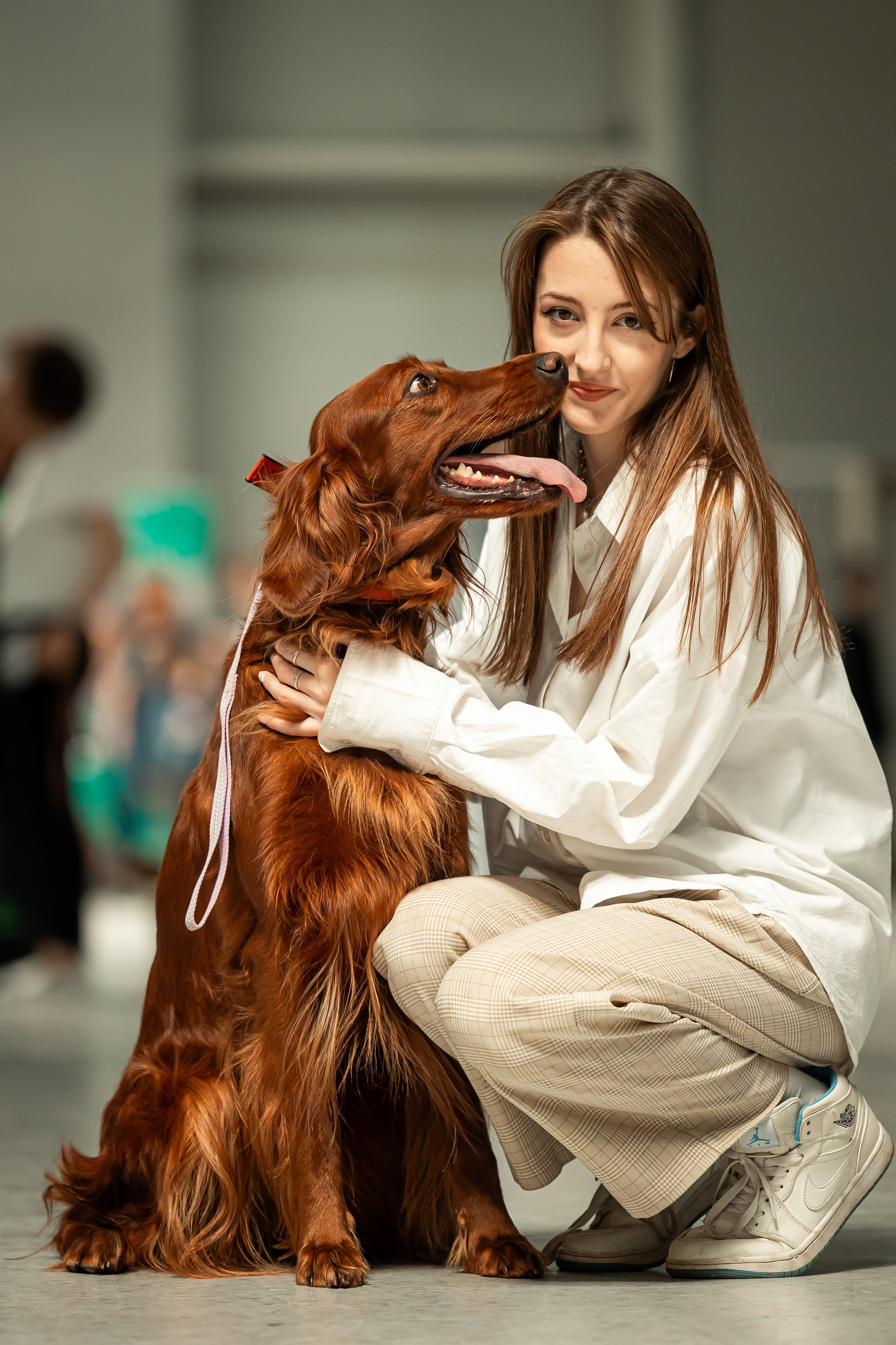 Выставка сеттеров 19.05.24