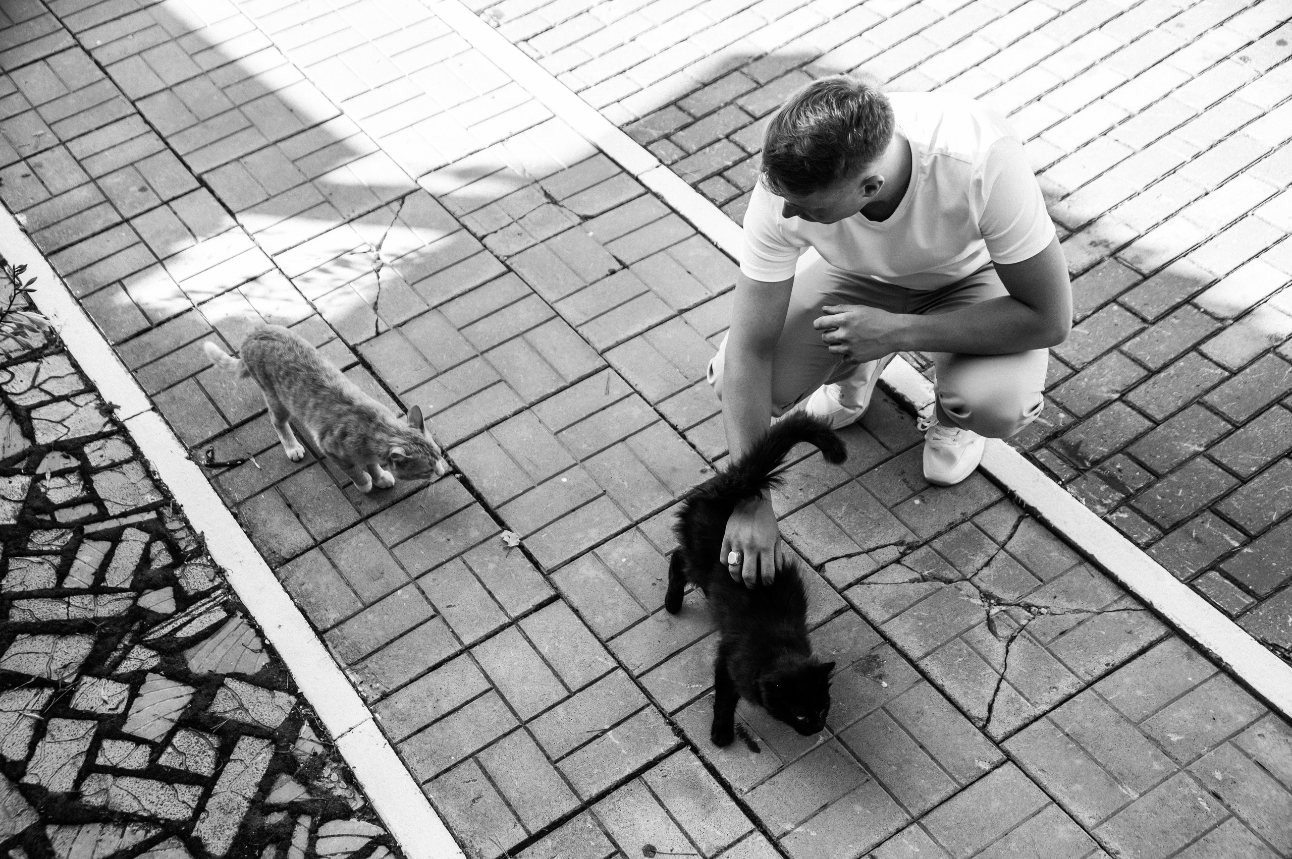 Оля и Сергей. Фотограф Кирилл Верт