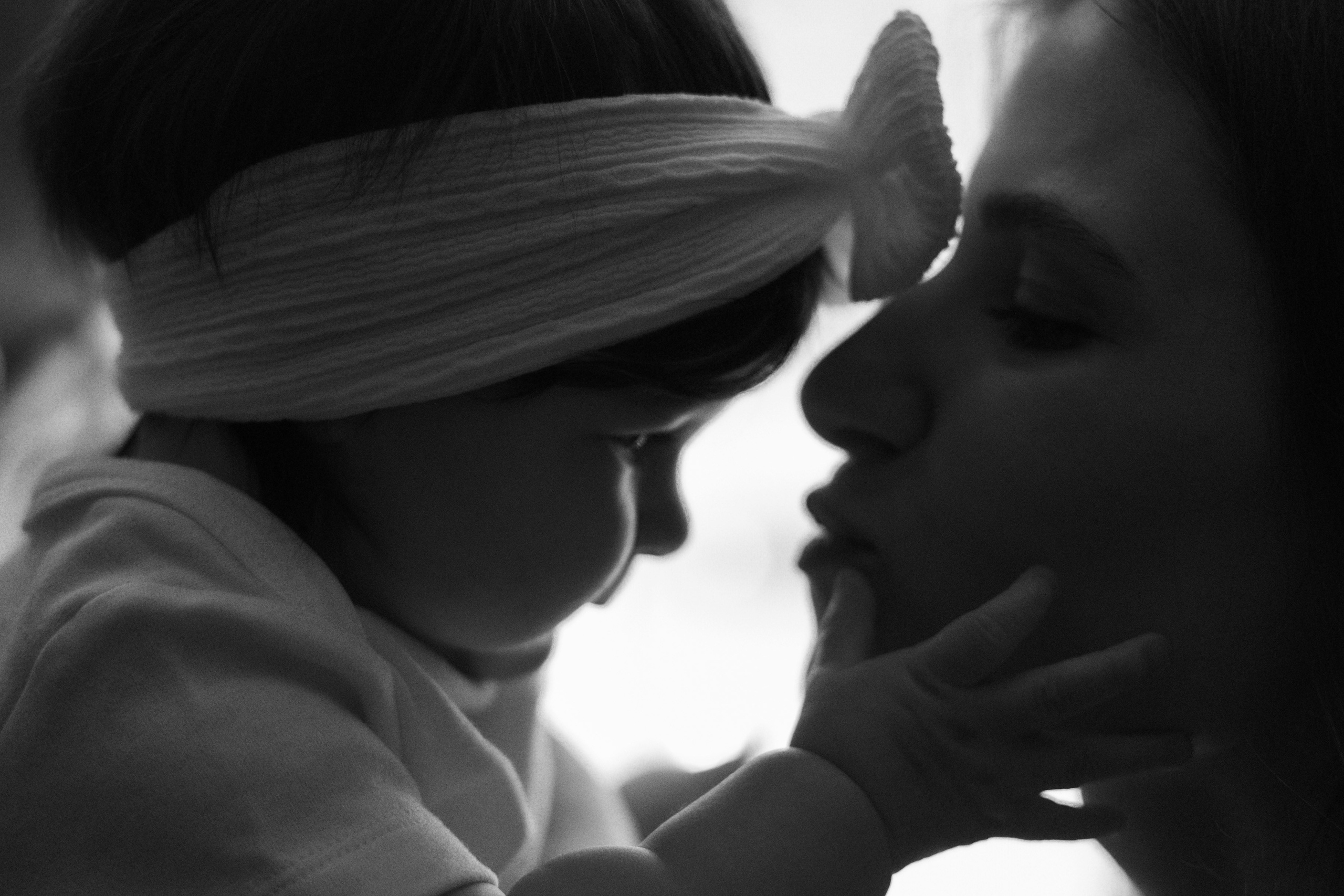 Джой и его семья. Фотограф — Анималист | Санкт-Петербург