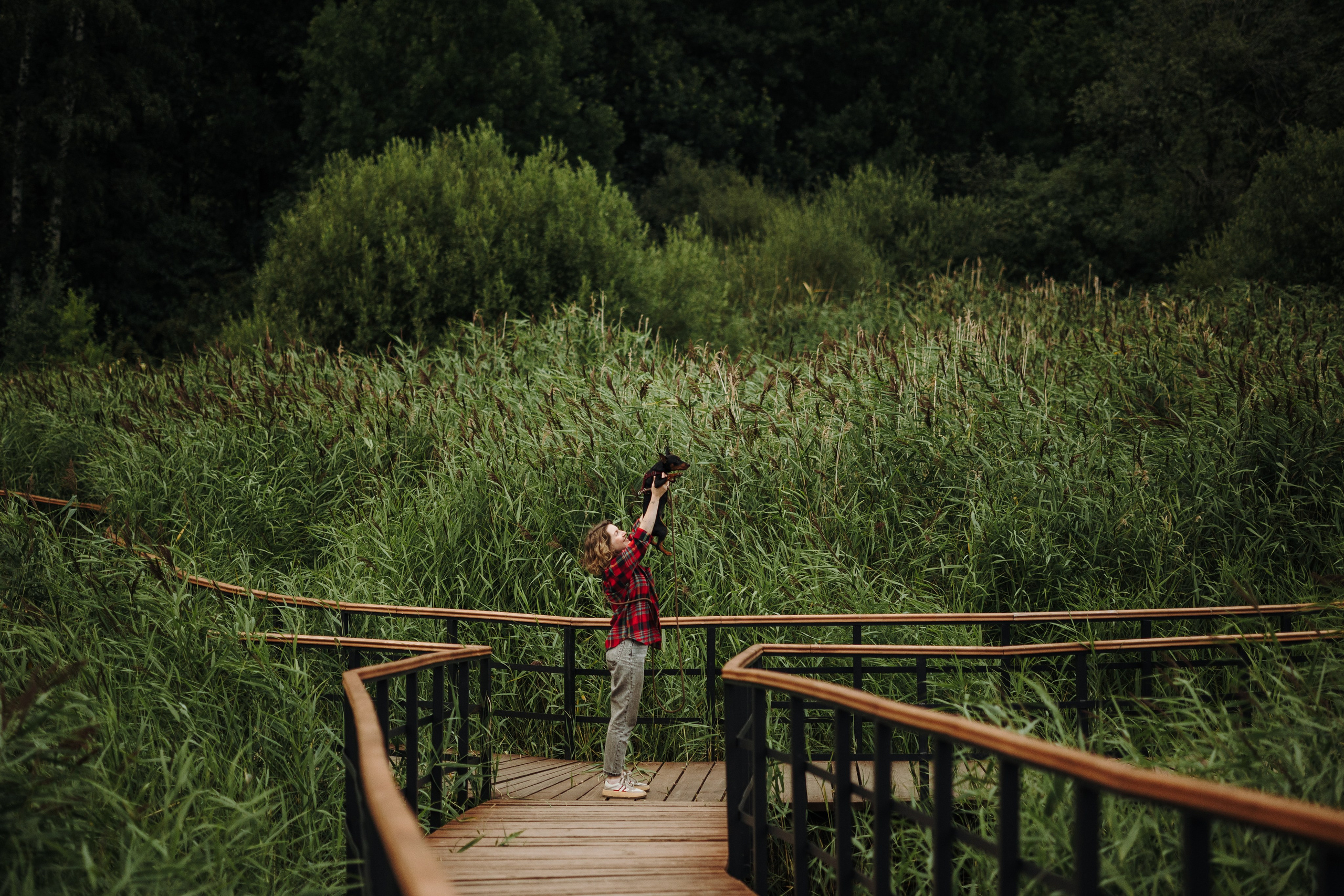 Сириус и его семья. Фотограф — Анималист | Санкт-Петербург