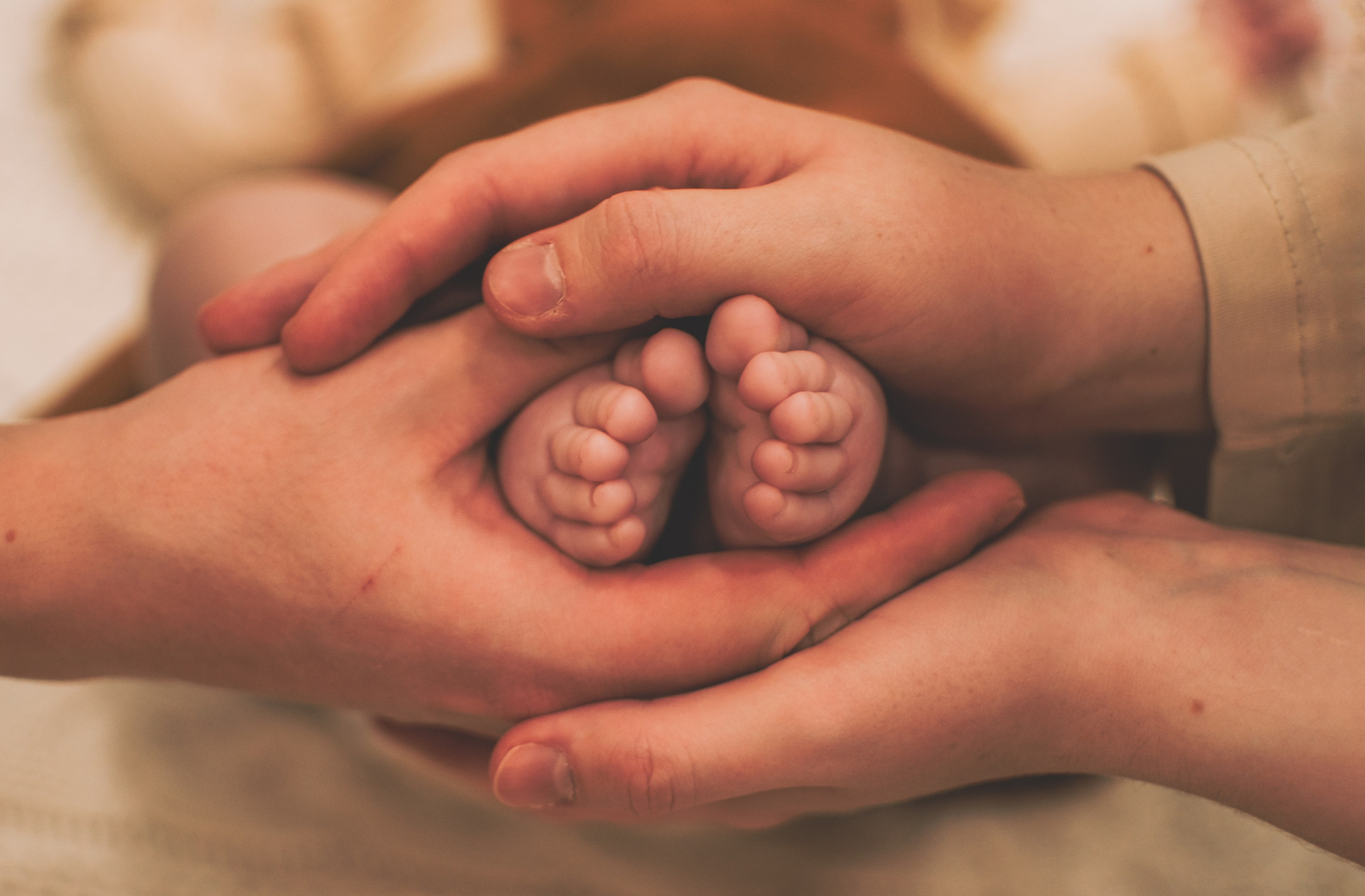 Семейная фотоистория. Семейный и свадебный фотограф Губкинский и Ставрополь