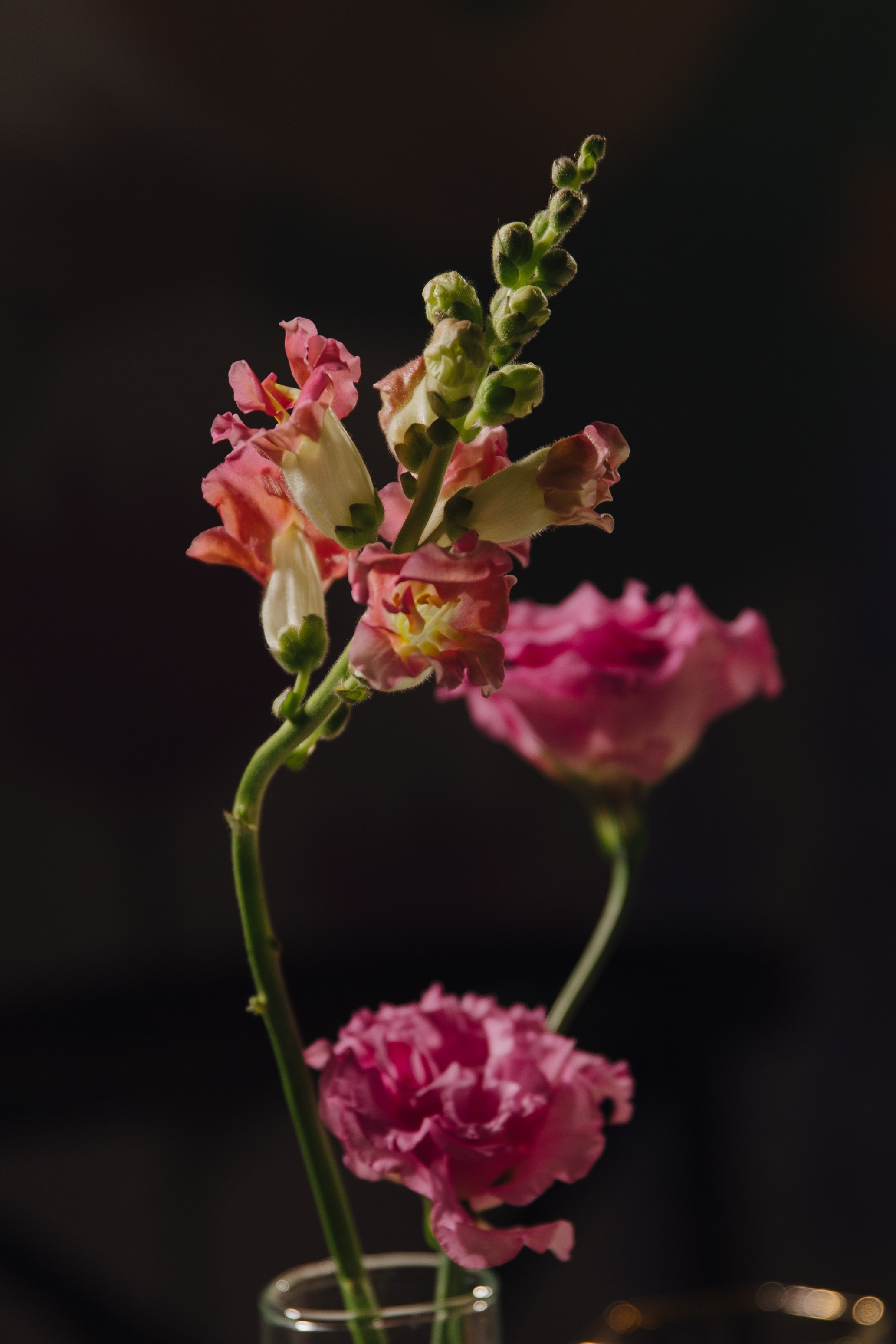 Даниил & Маргарита. Фотограф в Нижнем Новгороде| Шоронова Снежана