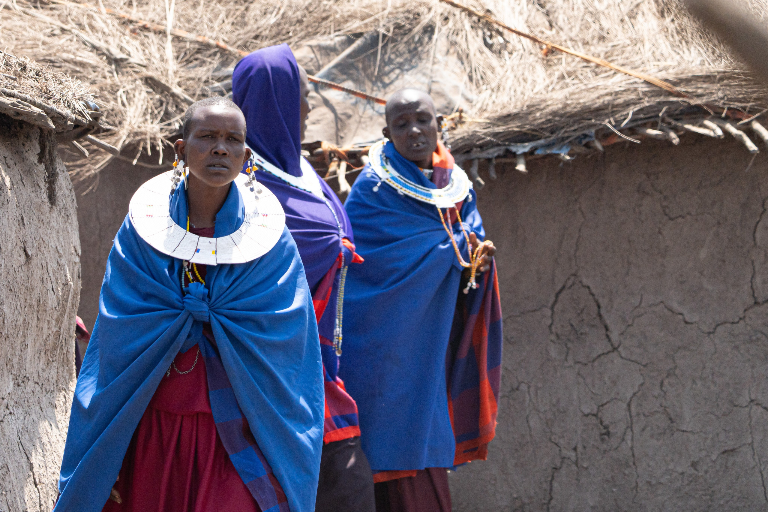 Танзания, сафари, 2025. Творческие сьемки