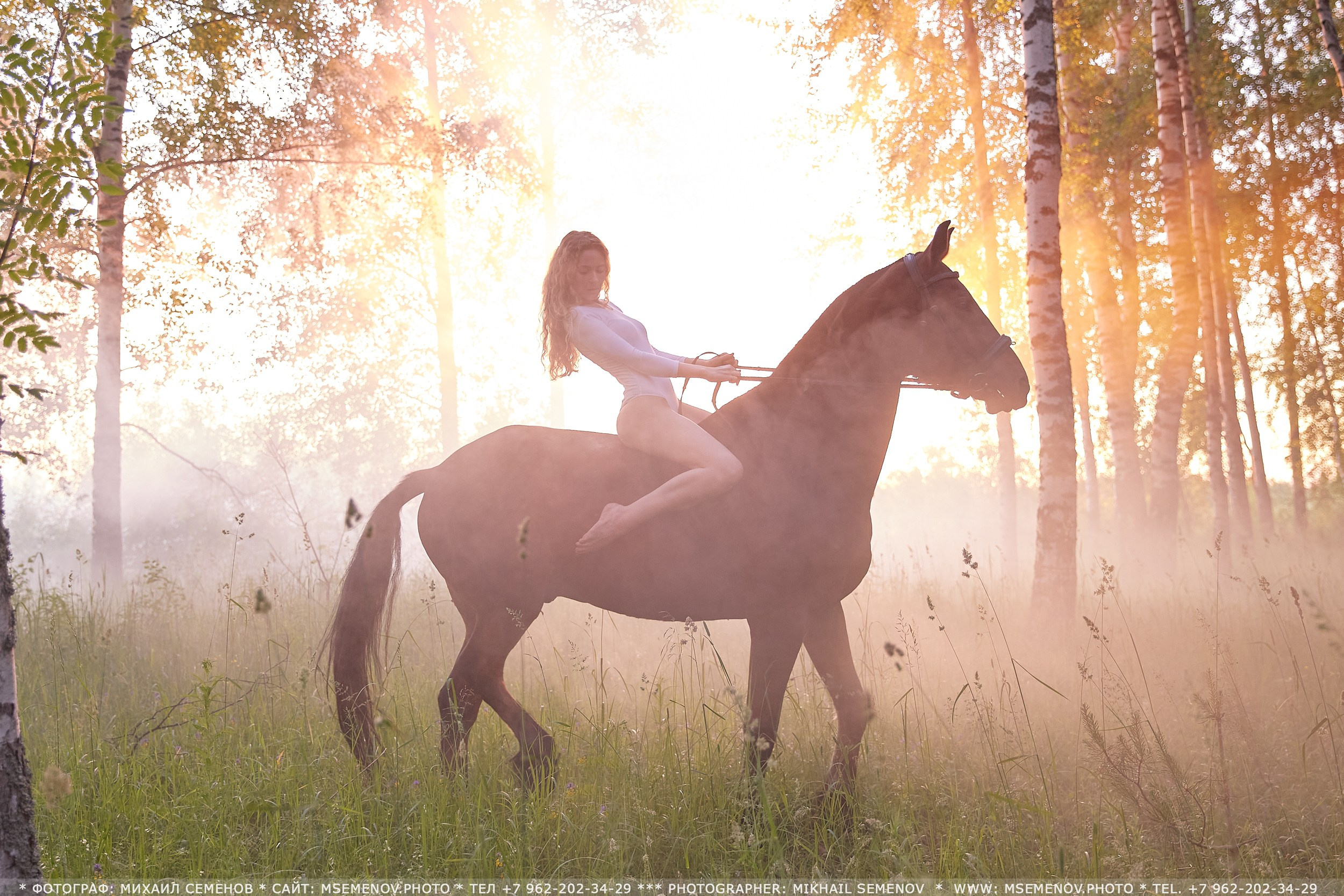 Фотосессия с лошадьми в г. Ярославль. Фотограф Михаил Семенов