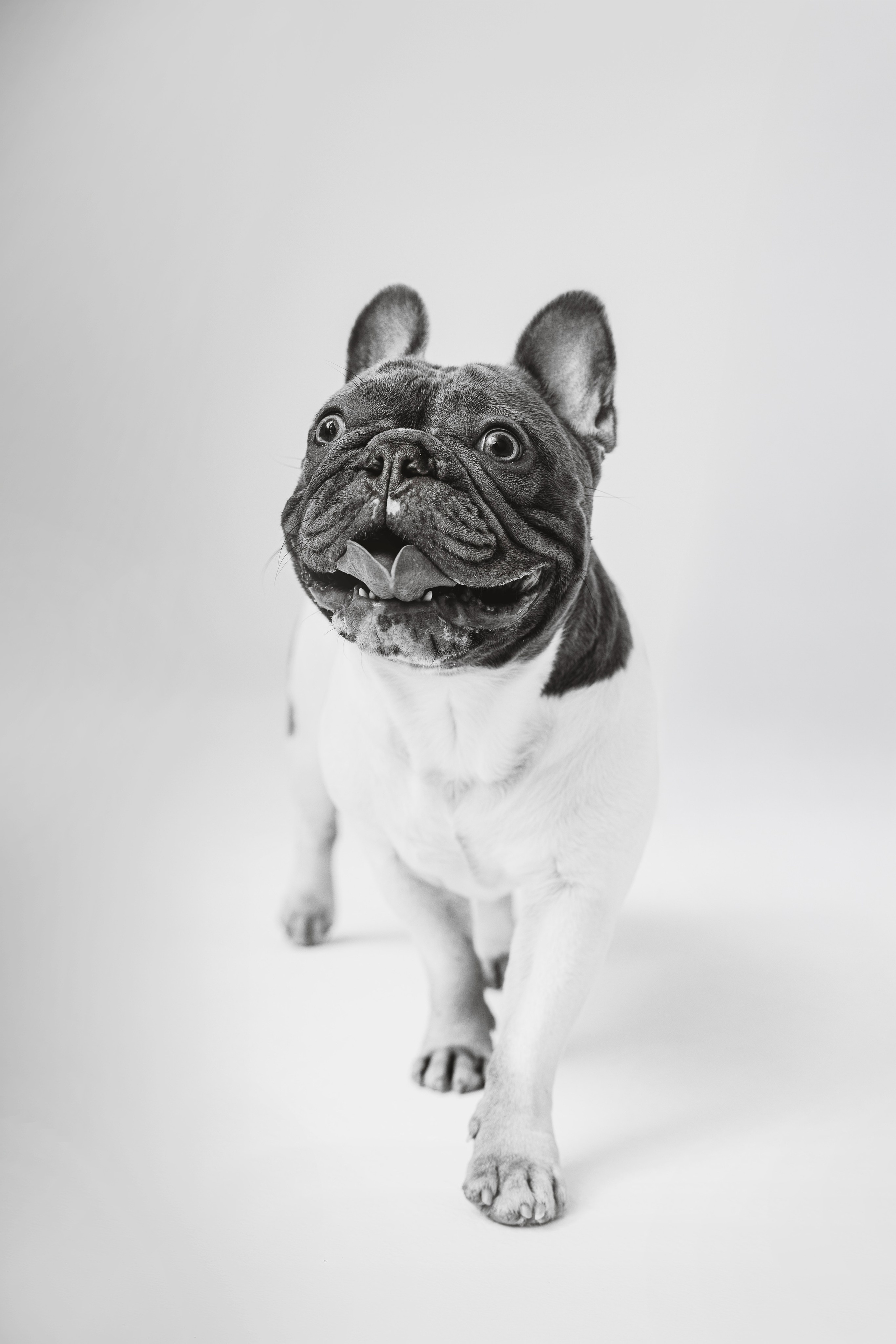 Екатерина, Виталий и Ричи