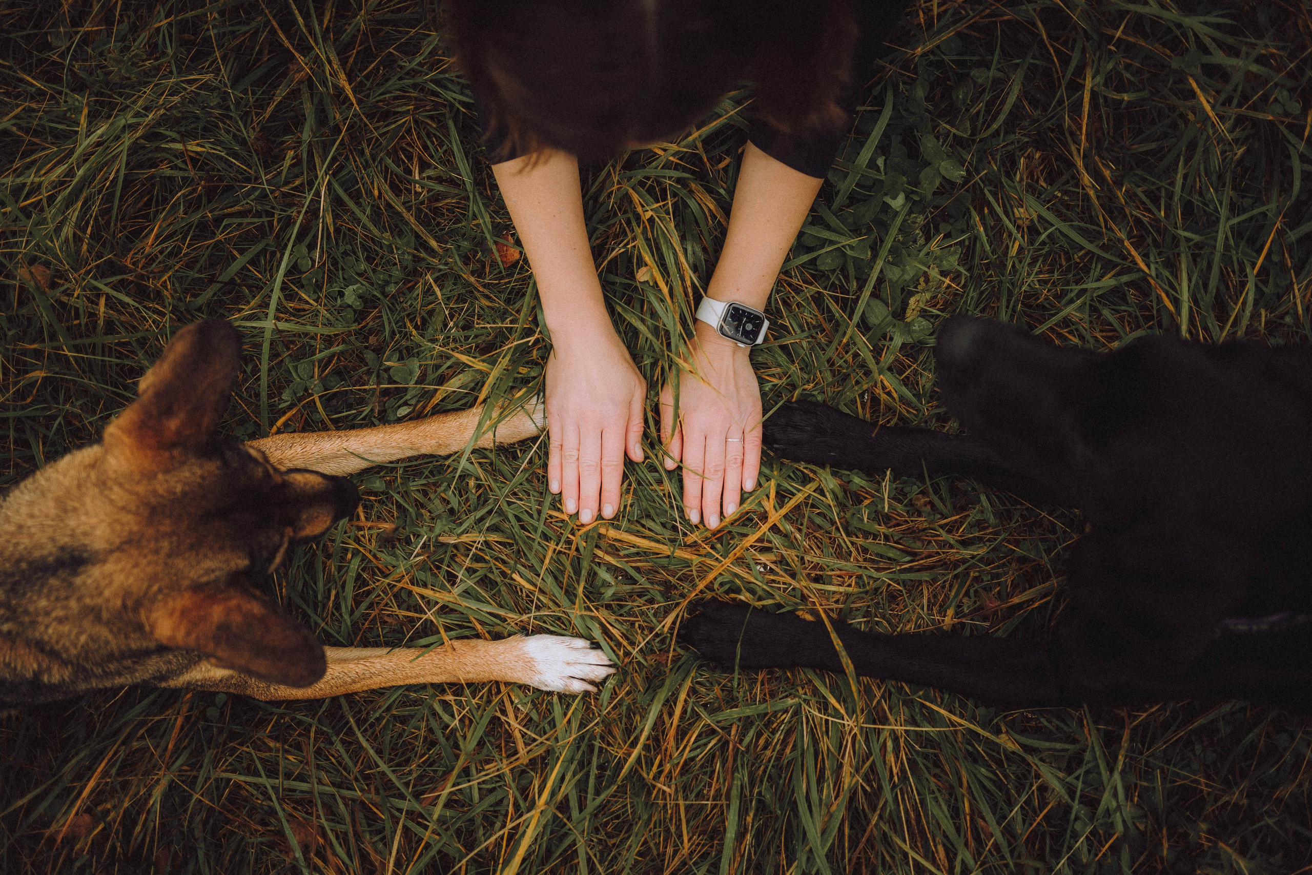 Аня, Нео и Луна