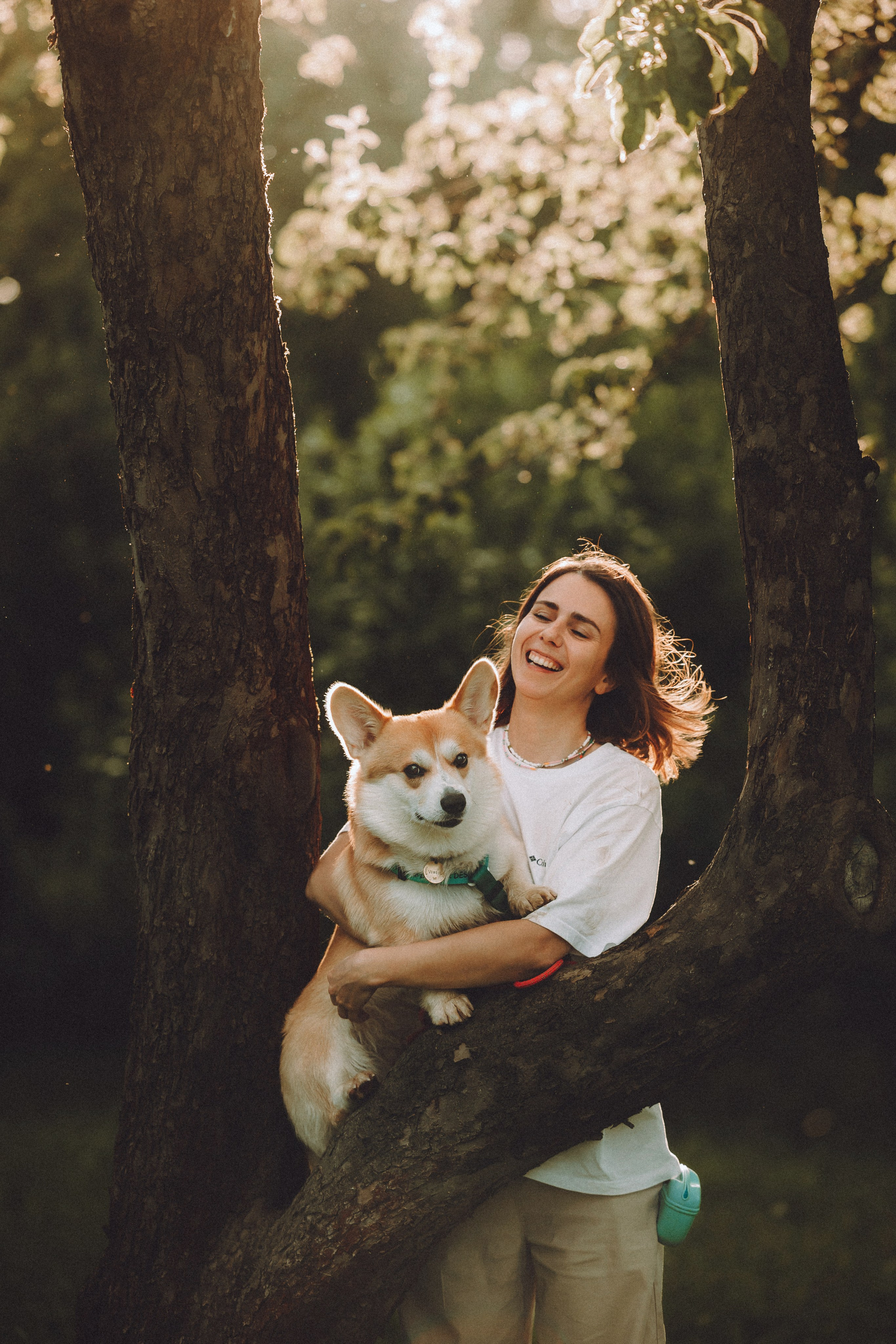 Вирджик и его семья