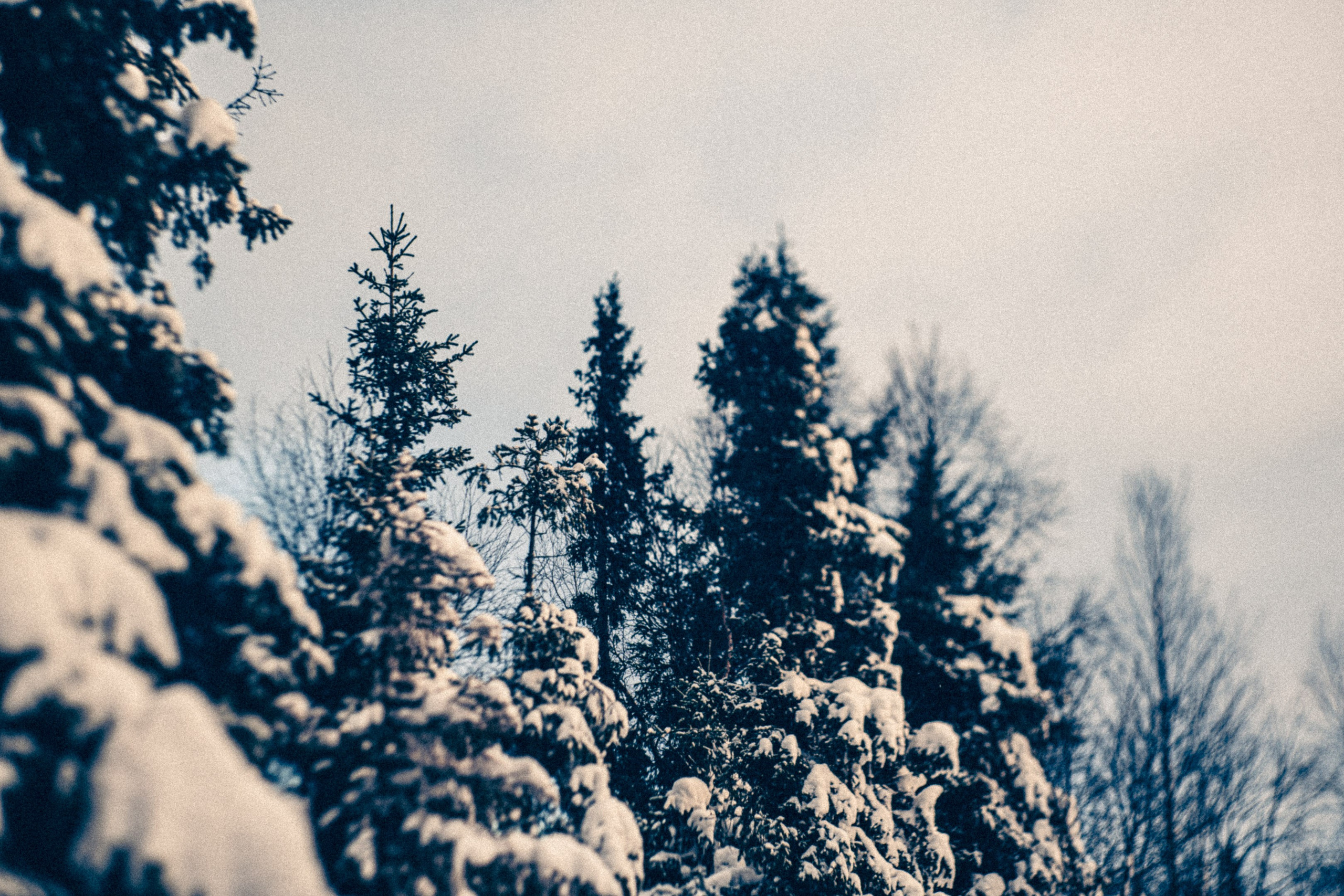 Священное озеро. Фотограф * Вячеслав Скоробогатов * Визульный Артист