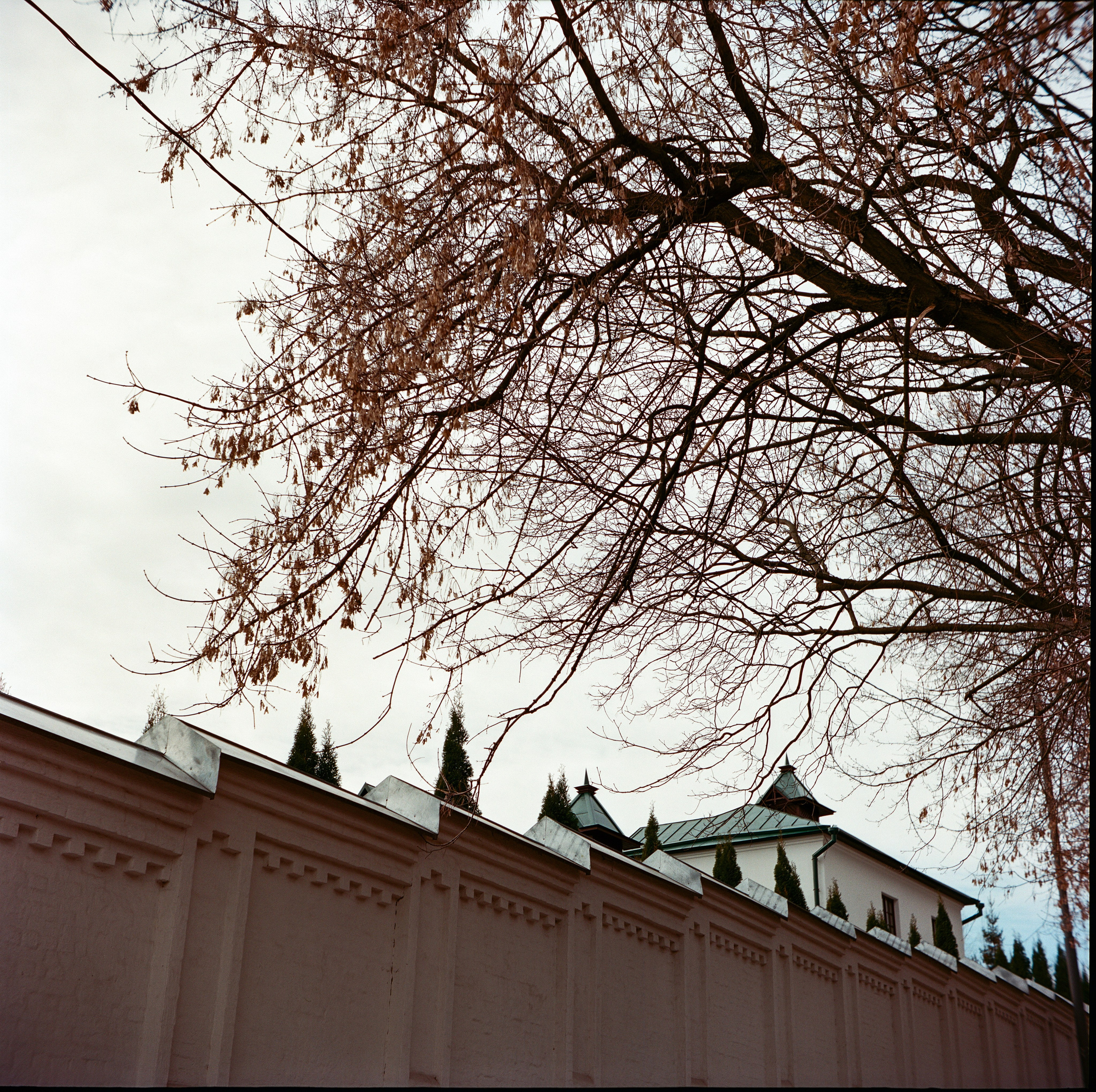 Walzflex с объективом Nitto Kogaku Kominar 75 mm f/3.5 / Aerocolor IV