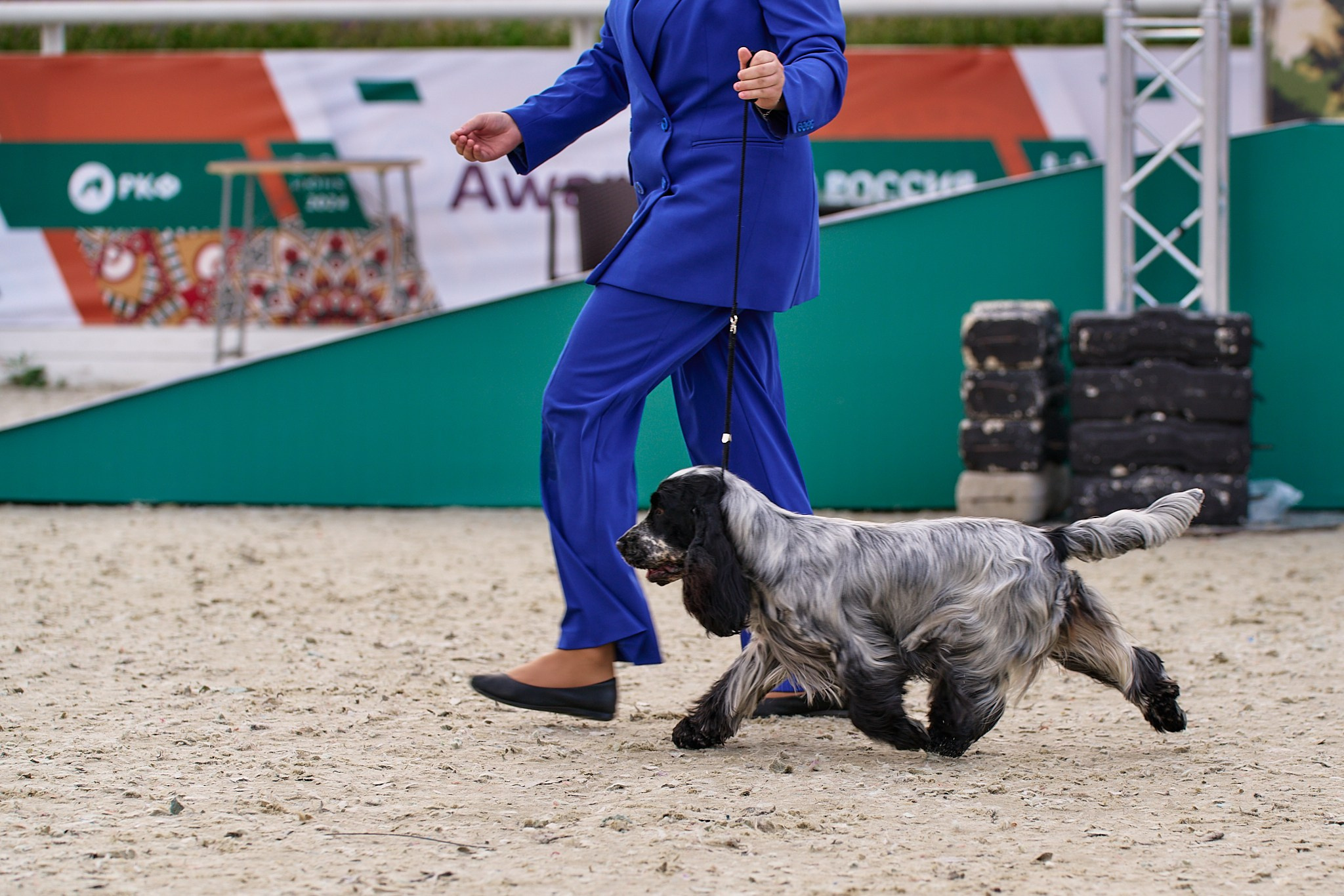 09.06.2024, «РОССИЯ. КУБОК МОСКВЫ 2024 & КУБОК ГОРОДОВ-ГЕРОЕВ»