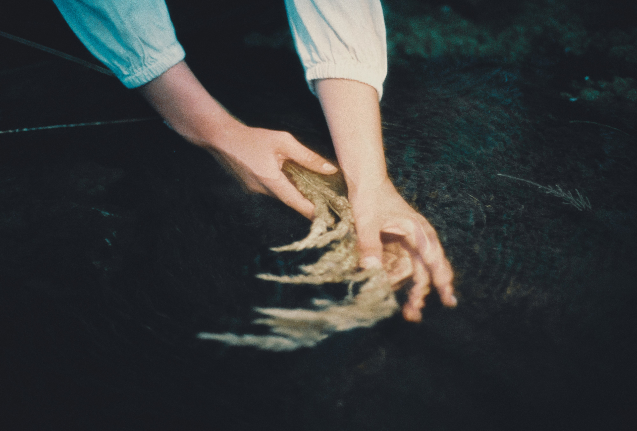 Пленочная история. Дмитрий Пропадалин, Нейрофотография