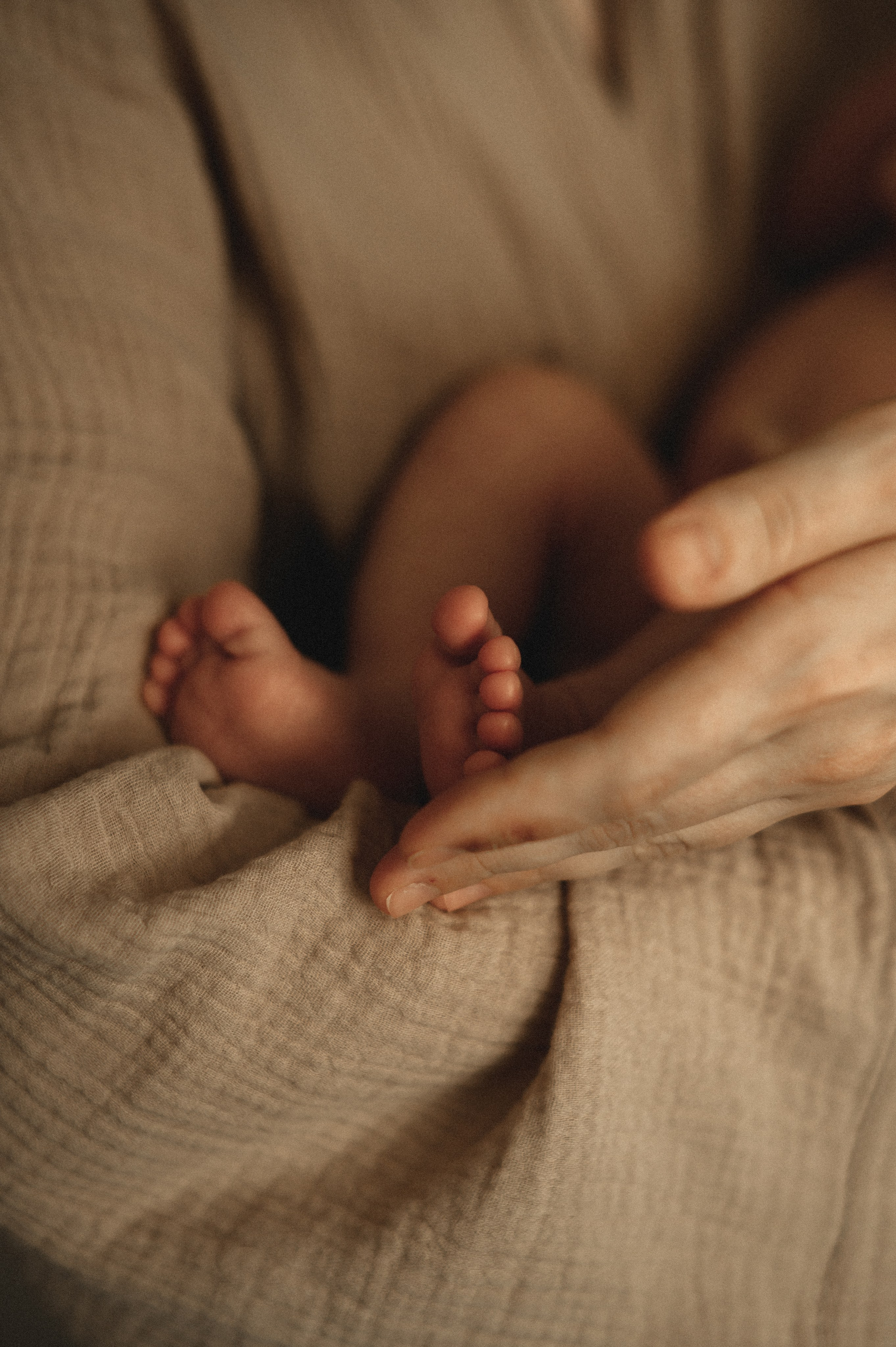 Первый месяц…. Семейный фотограф в г. Ставрополь, Сорокина Мария