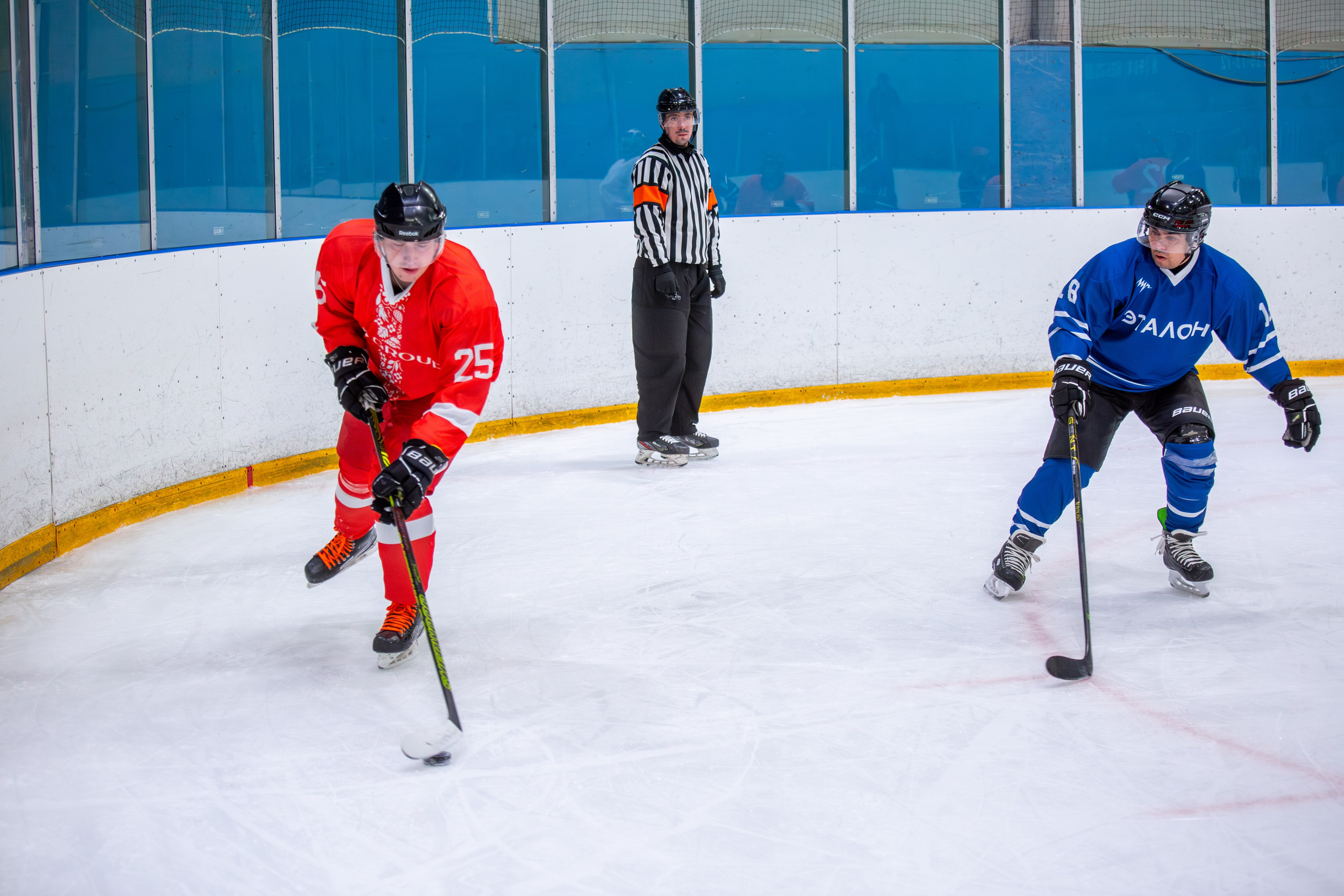 Чемпионат по хоккею. Репортажный, семейный, свадебный, портретный фотограф