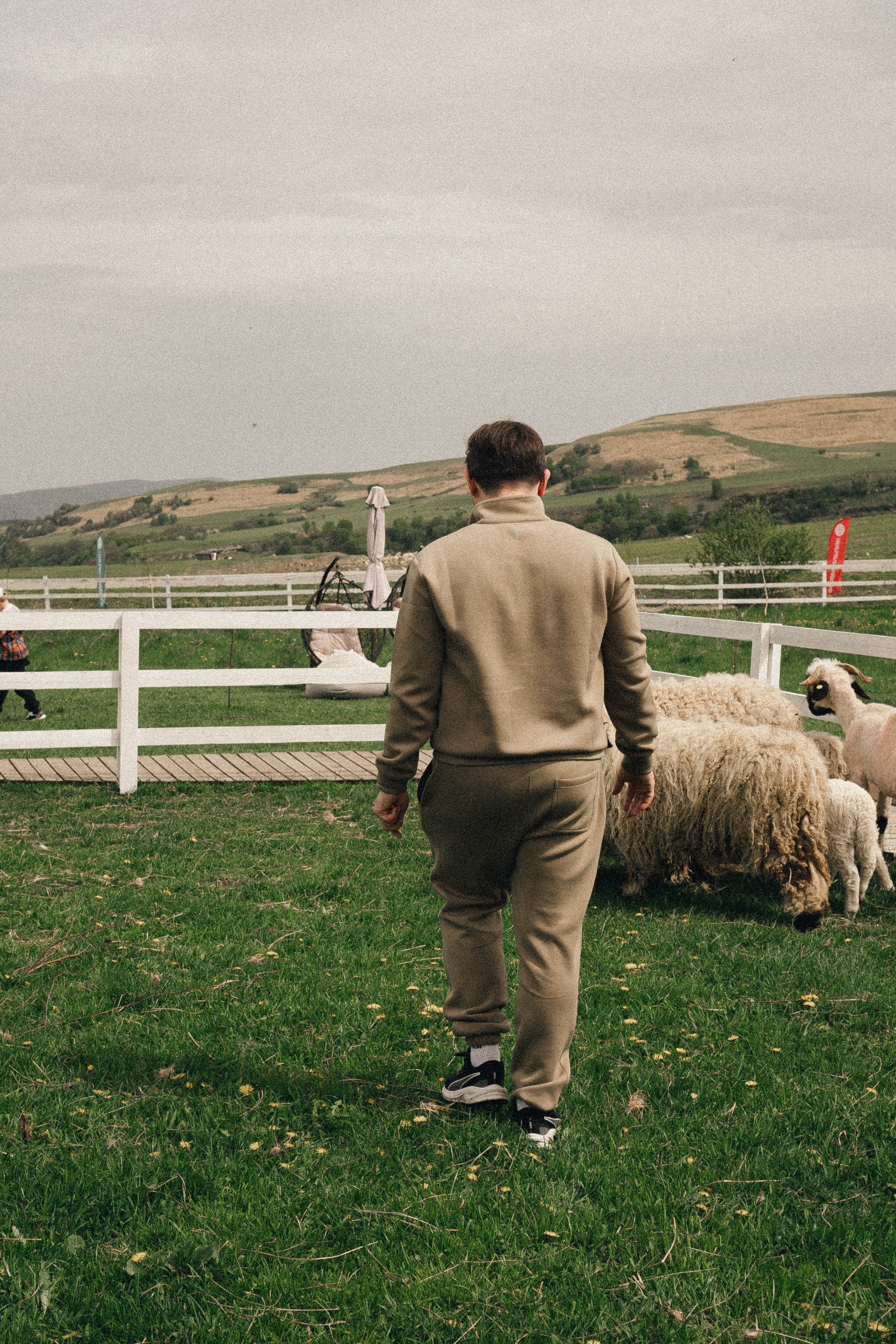 Ферма Альпак. Профессиональный фотограф, Санкт-Петербург — Виктория Богомолова