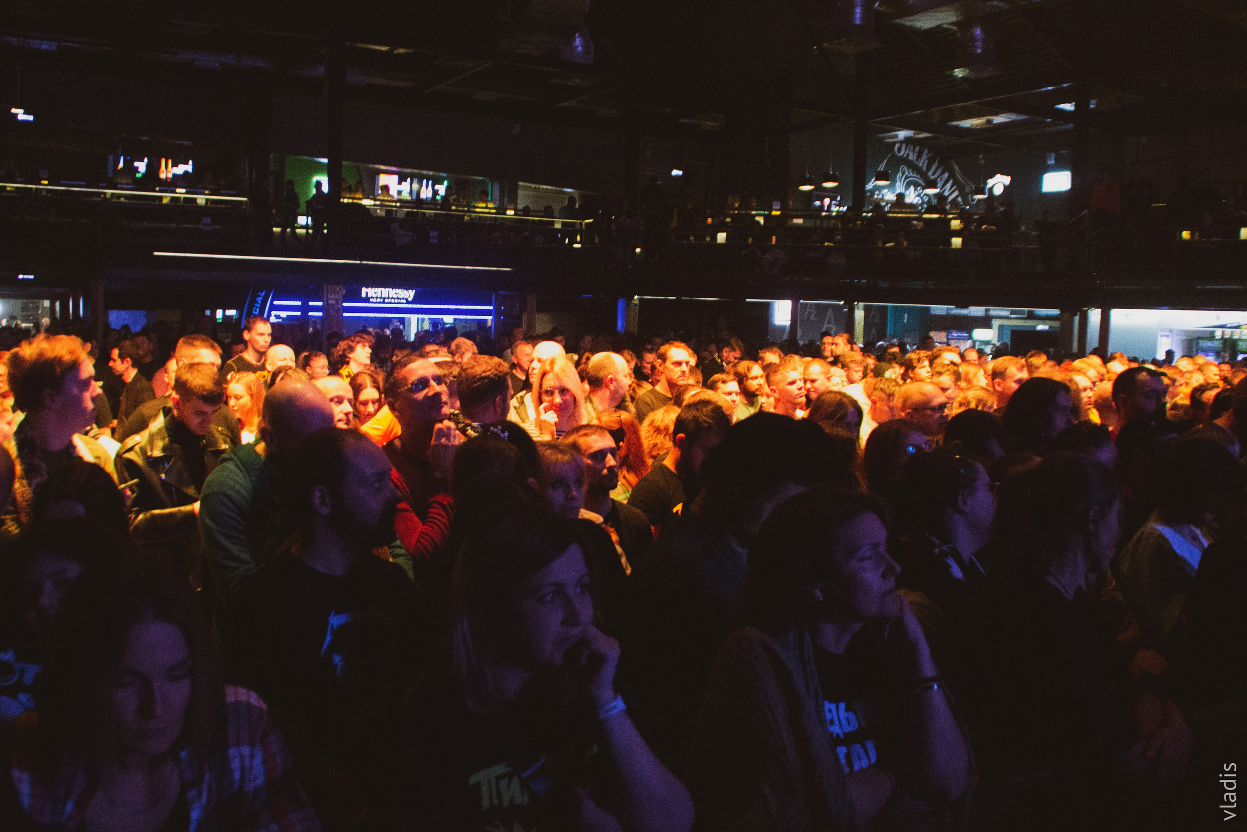 Пилот | A2 | 26.10.2024. VLADIS PISKUNOV | Концертные Фото |Репортажи