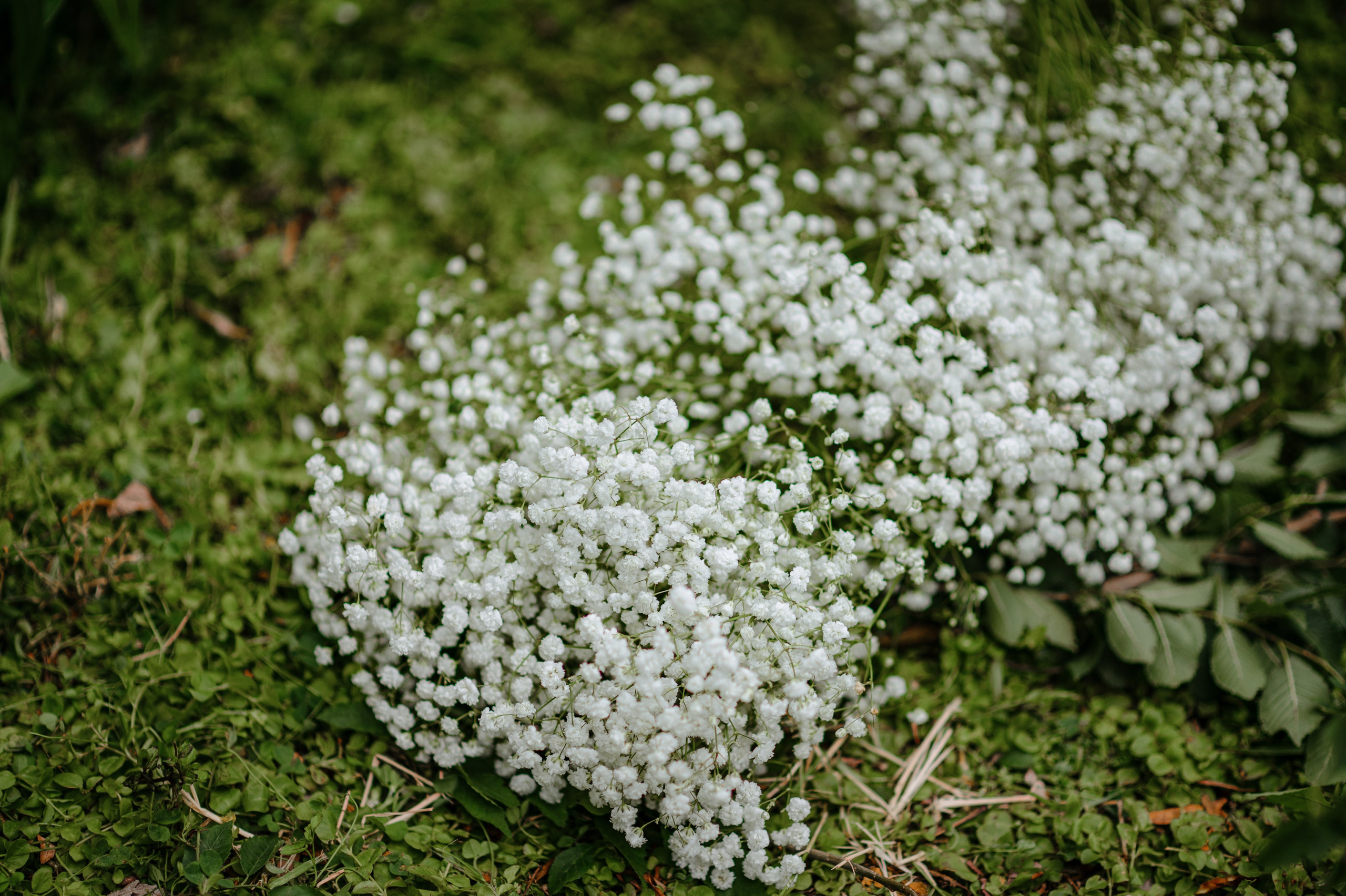 Съёмка свадебного декора. 100-й пруд. Свадебный фотограф Константинова Елена