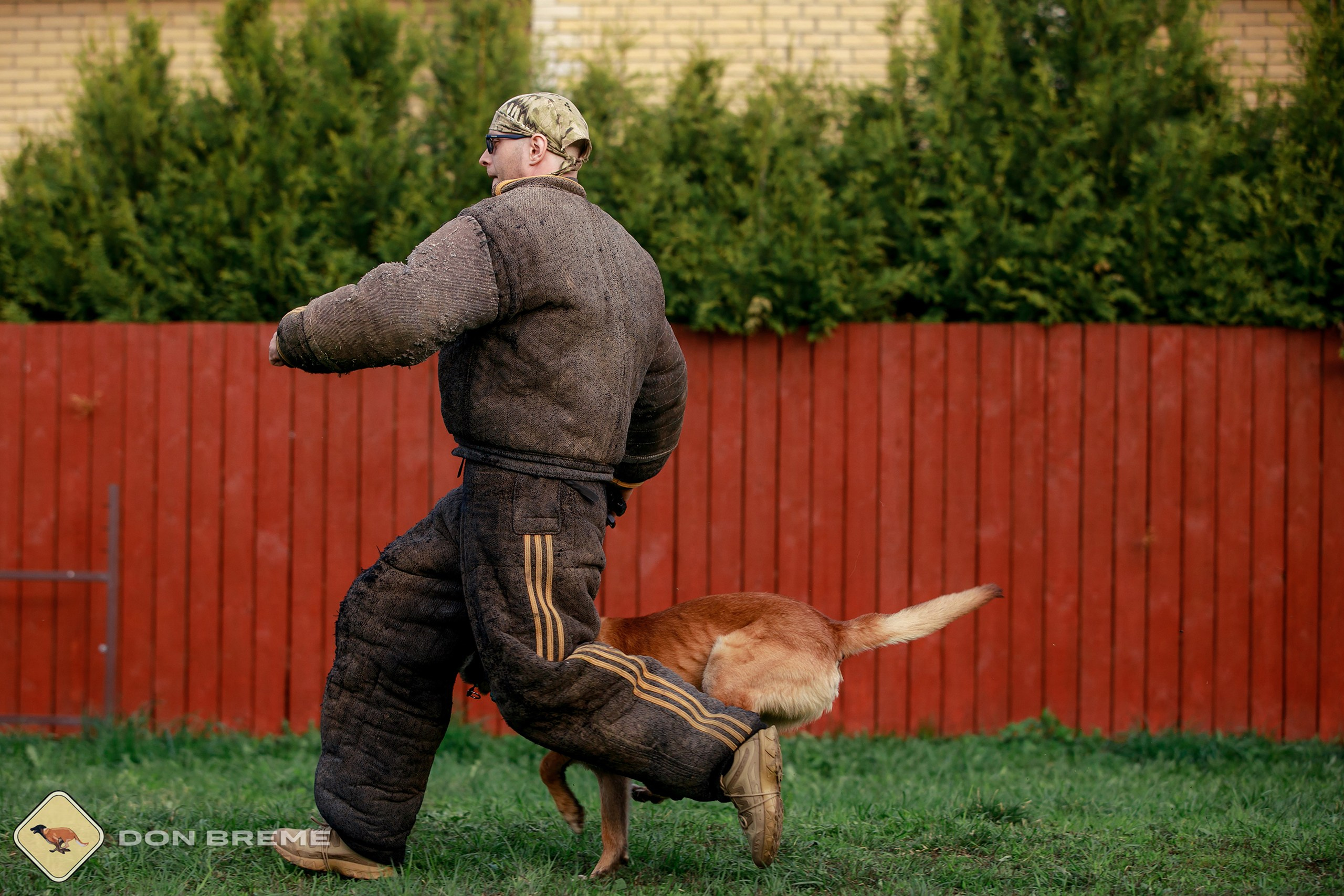 Семинар для фигурантов, день 2. Фотограф-анималист Mary Mart — Москва, Питер