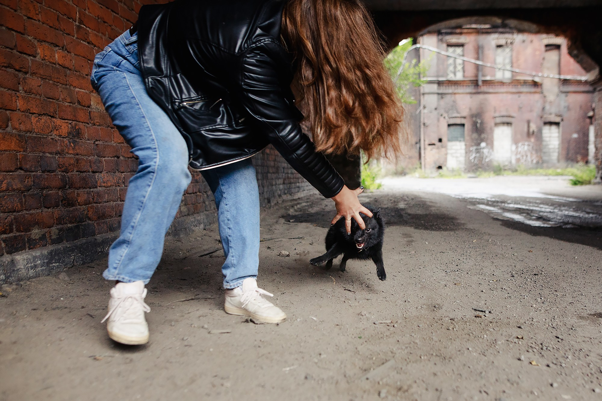 Саша, Маша и шипперке Йети. Фотограф-анималист Mary Mart — Москва, Питер