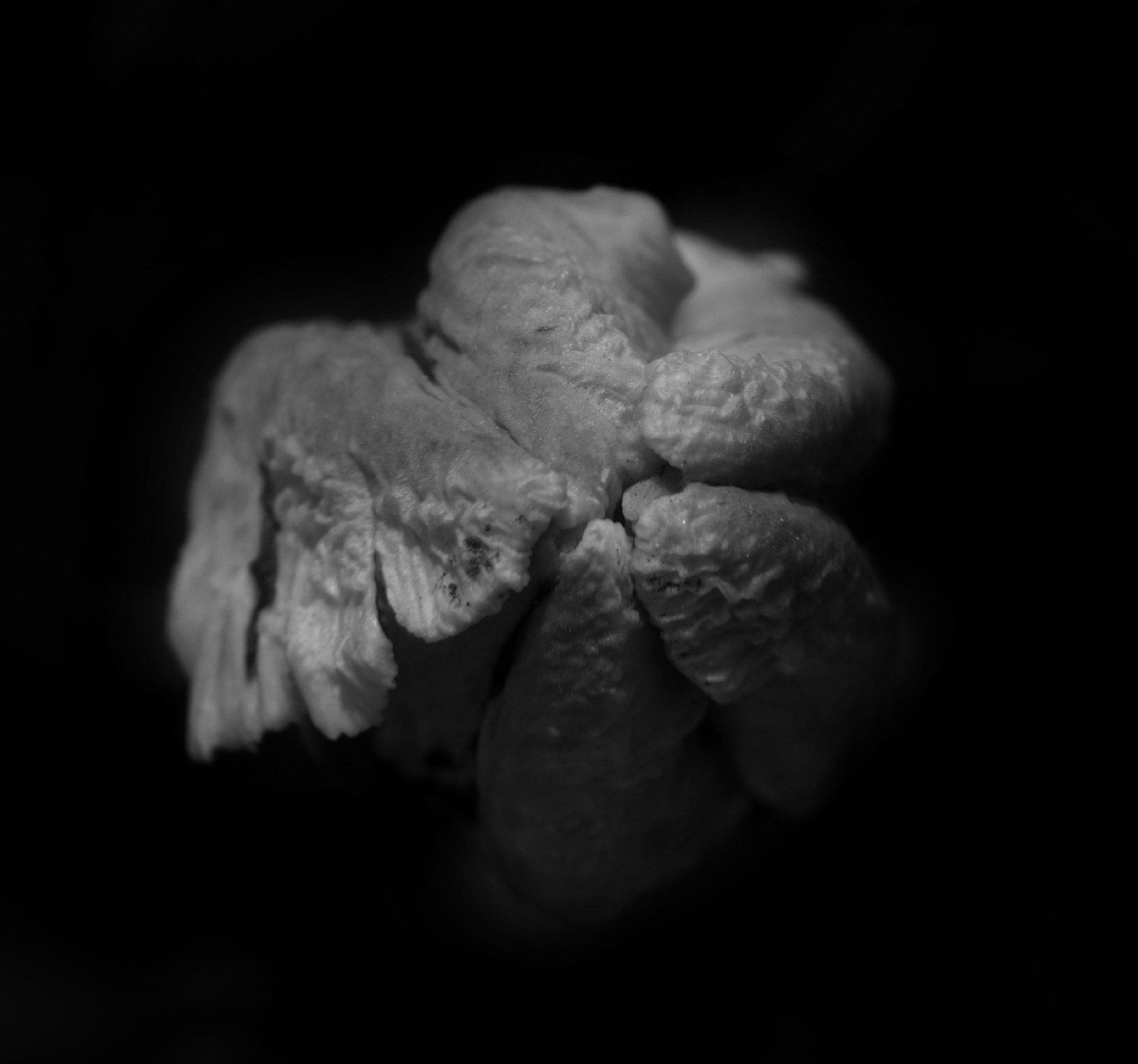 Работы. Свадебный фотограф в Москве Сафонова Анна