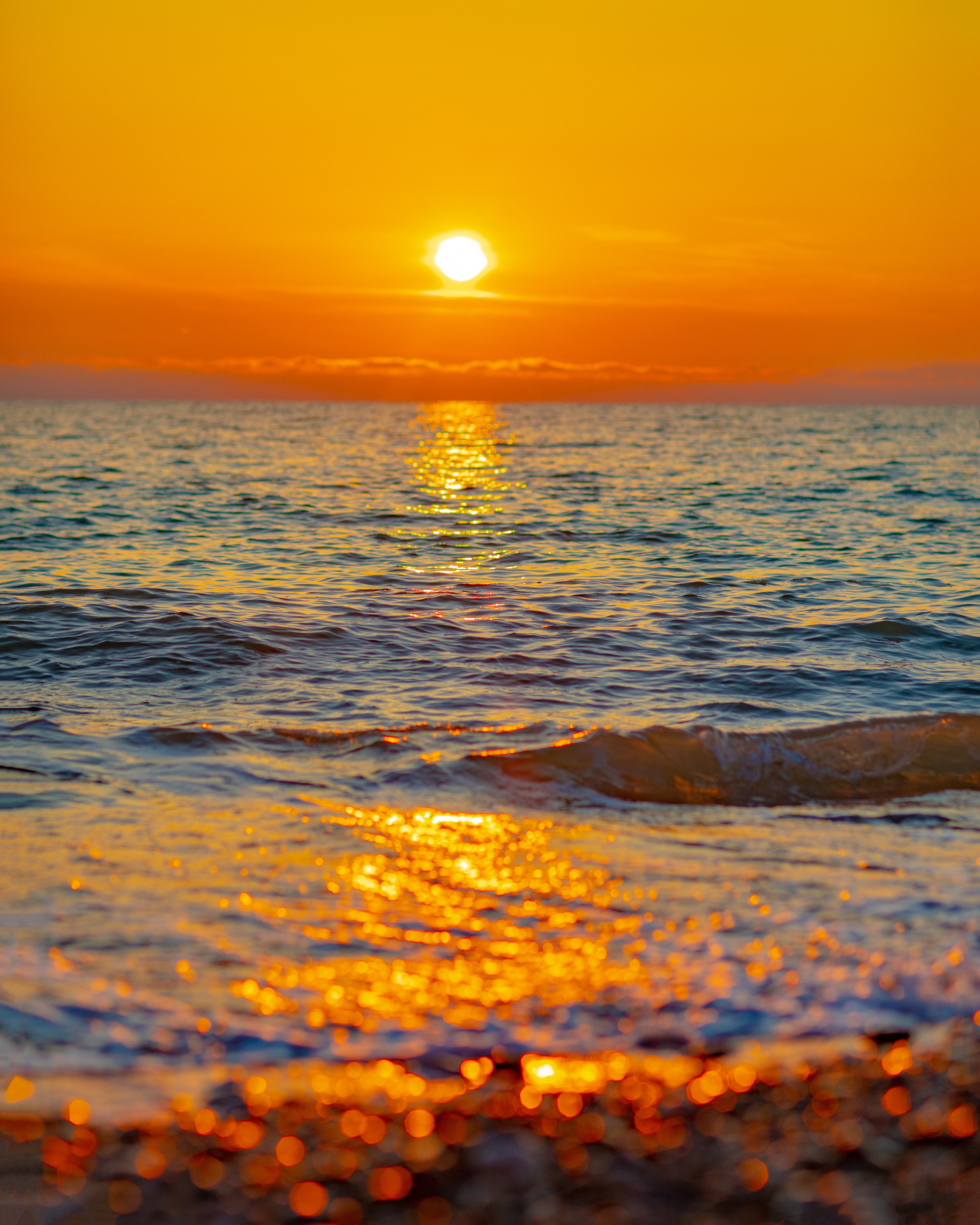 Портфолио. Фотограф Севастополь/Крым Светлана Евтушенко