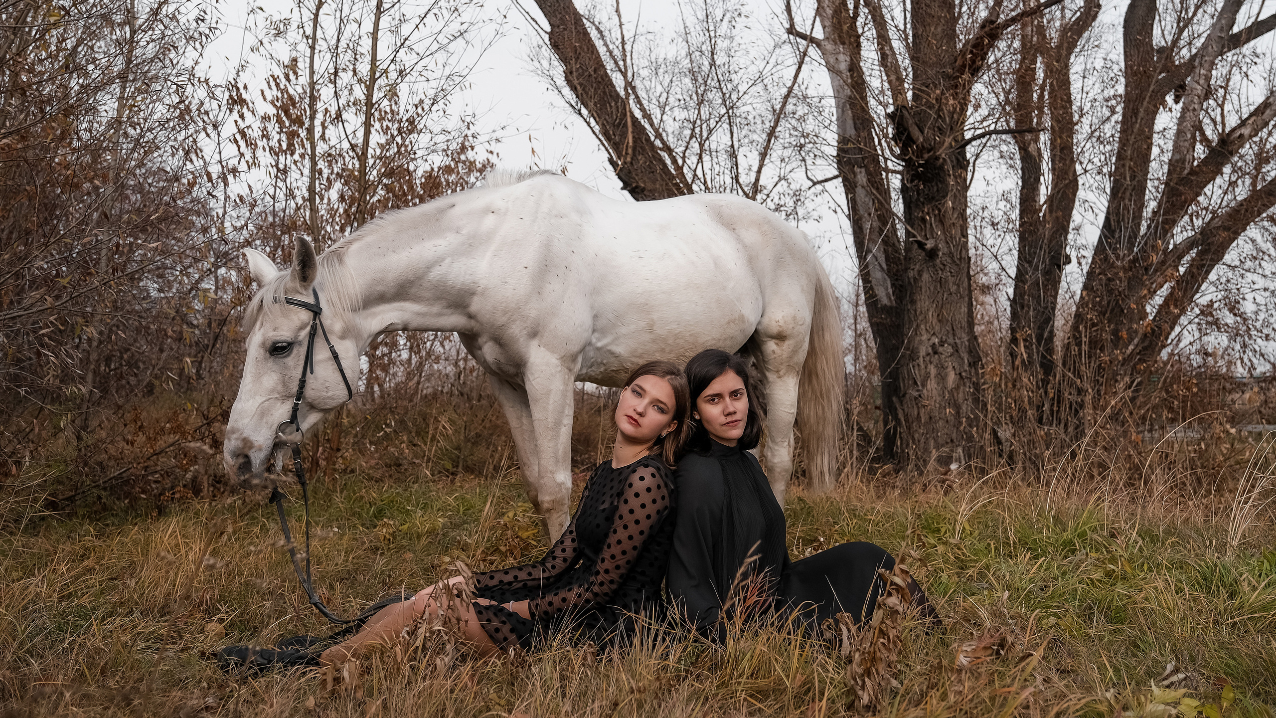 Современные выпускные альбомы