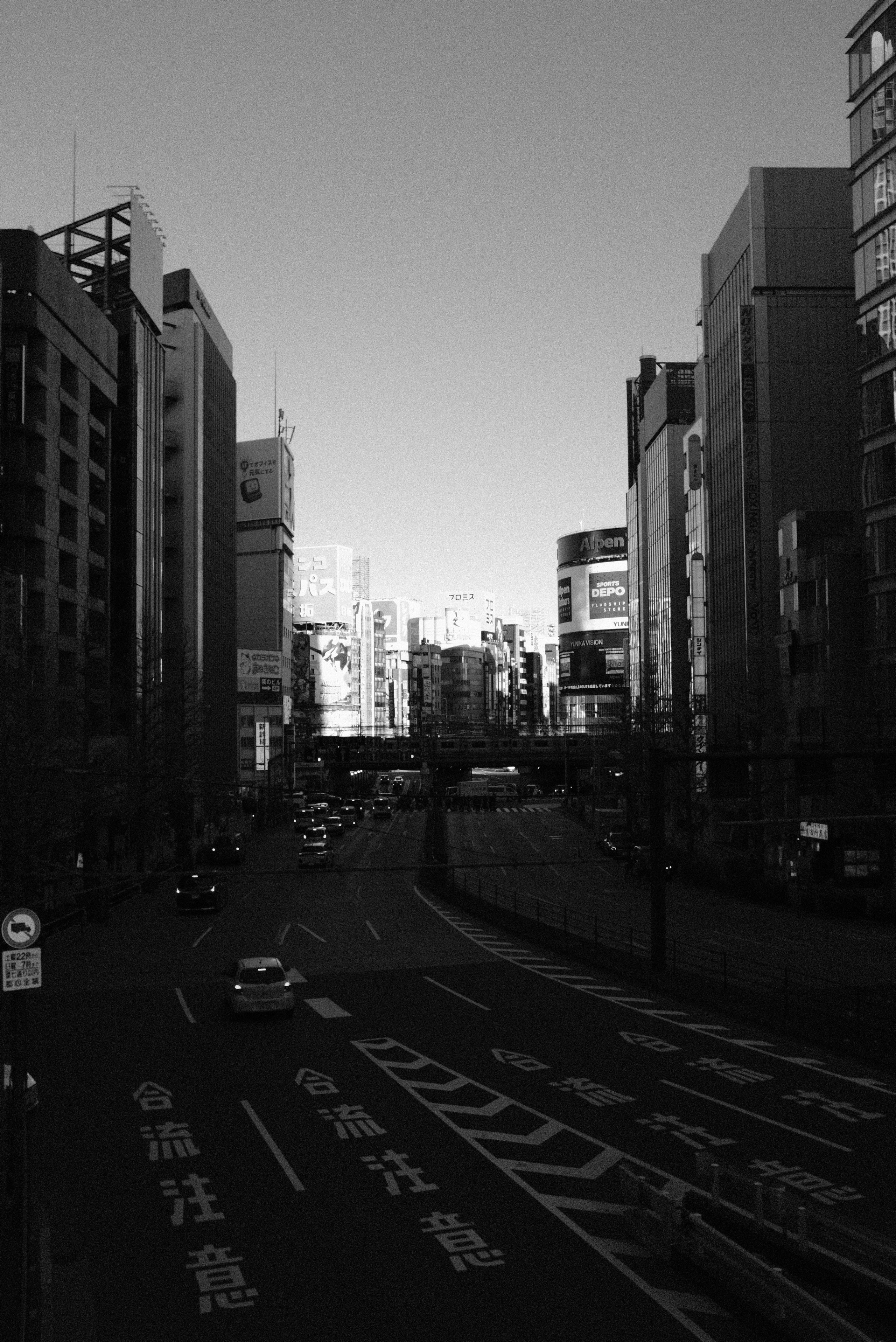 Faces of Tokyo. Regina Platonova