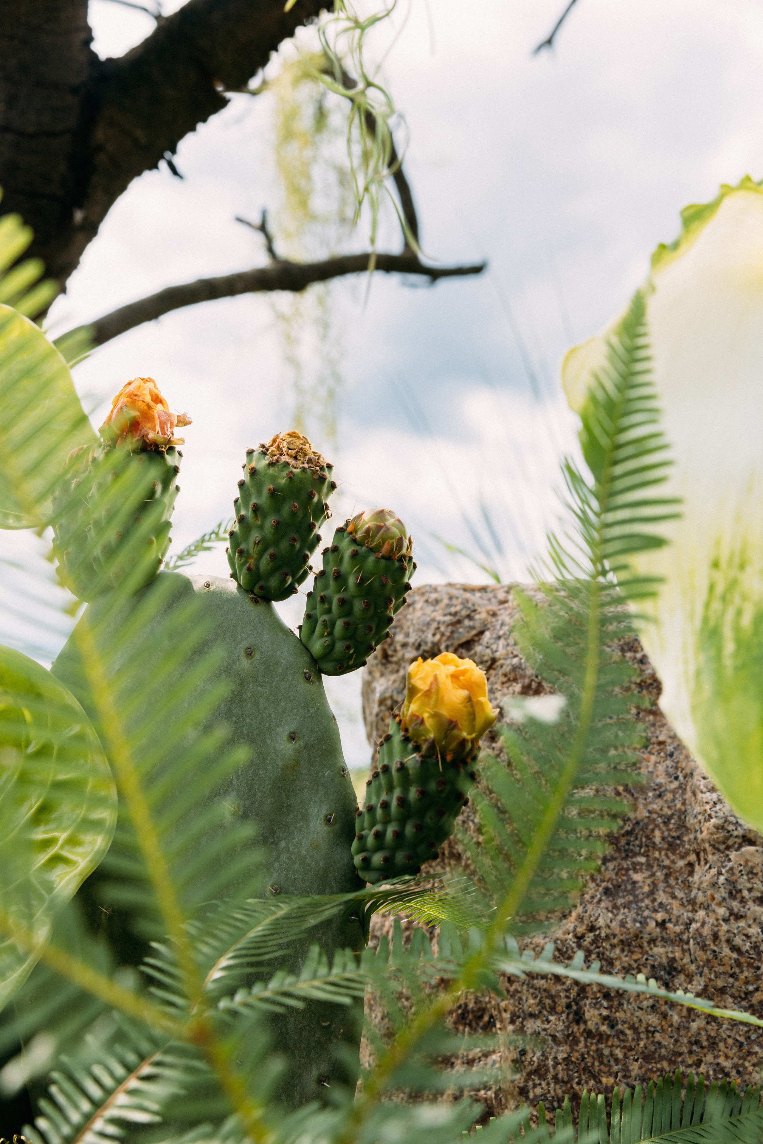 @avtors.agency. Свадебный и репортажный фотограф в Москве Владимир Сергеев | Naysaikolo