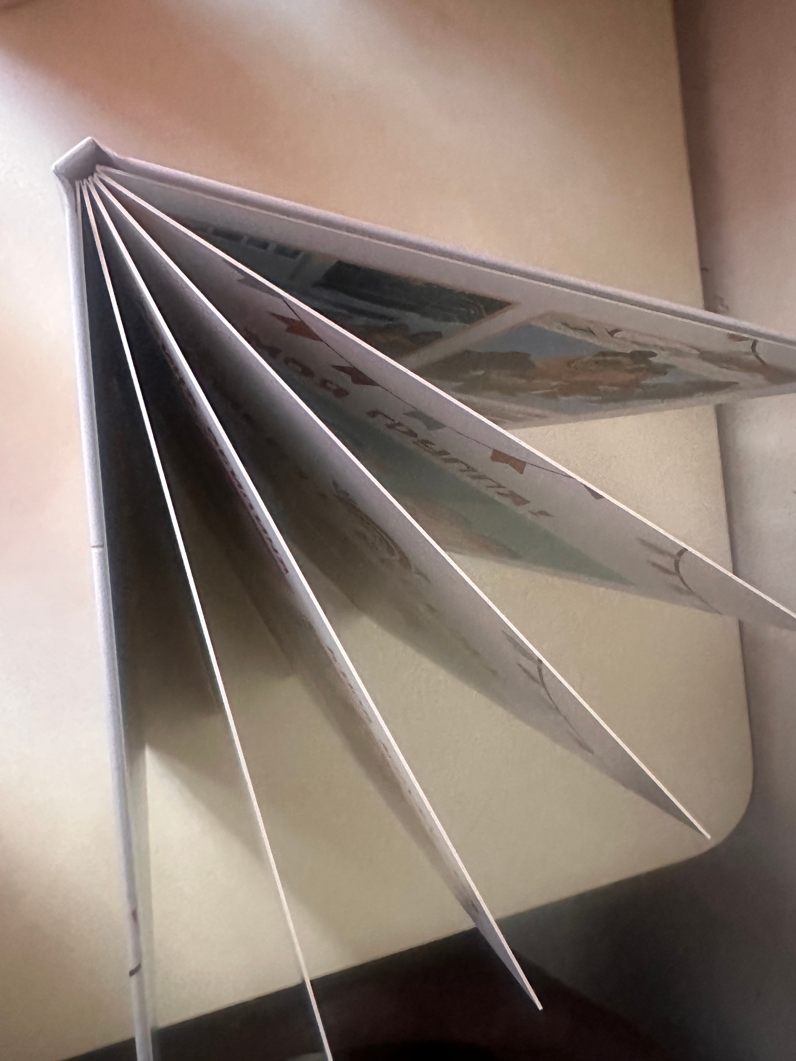 Выпускной альбом Лев. Фотограф г. Пенза — Светлана Зойкина