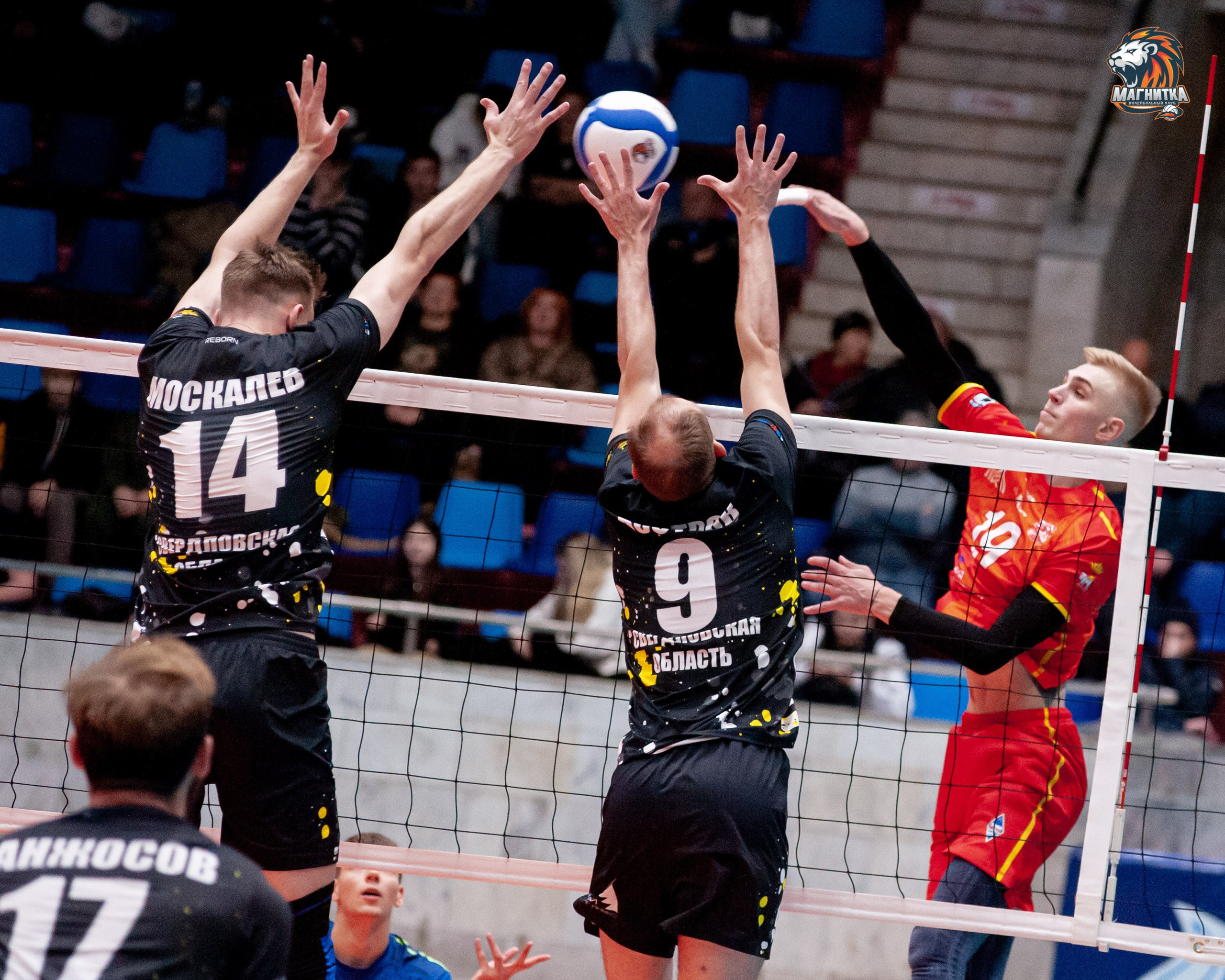 Чемпионат России по волейболу. Высшая лига А. Магнитка — Локомотив-Изумруд. Фотограф Магнитогорск Данил Семенов