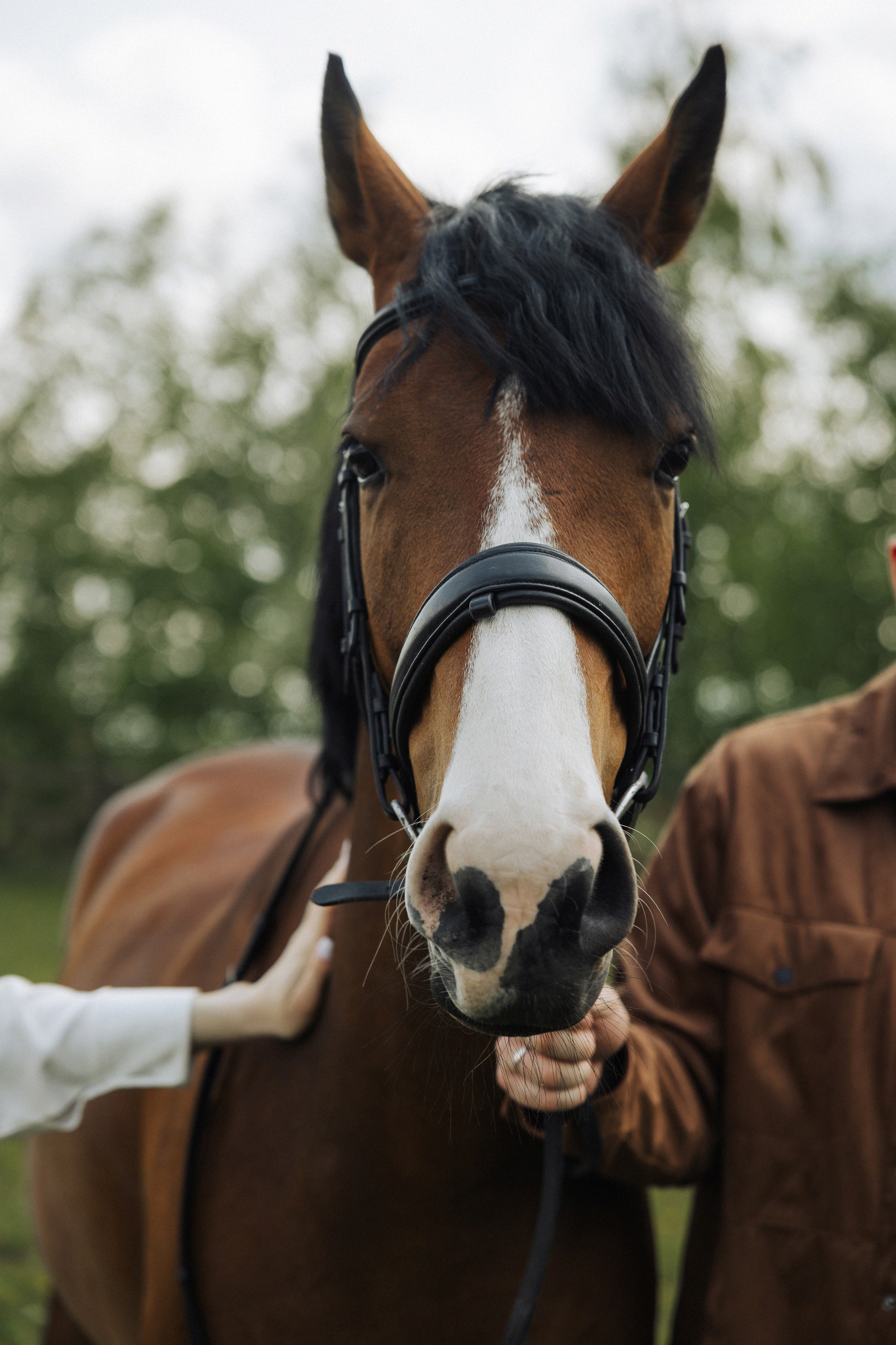 Илья и Настя. Свадебный фотограф в Рязани и Москве Евгения Жмурова