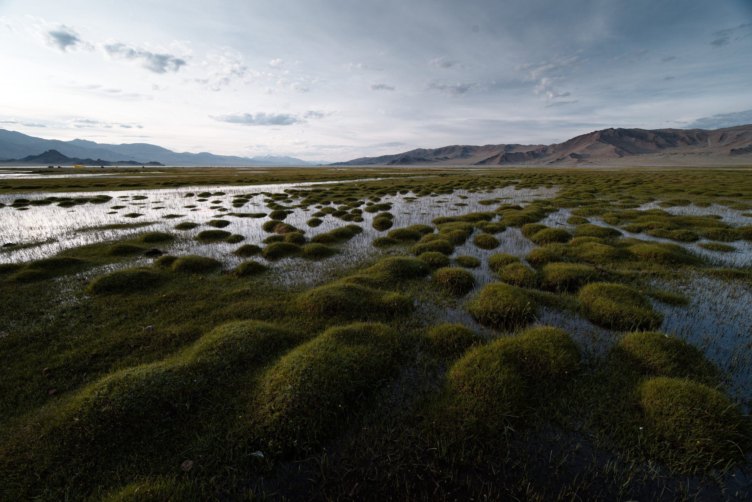 Экспедиция в Монголию (Гоби). Семоха Валерий. Фотограф
