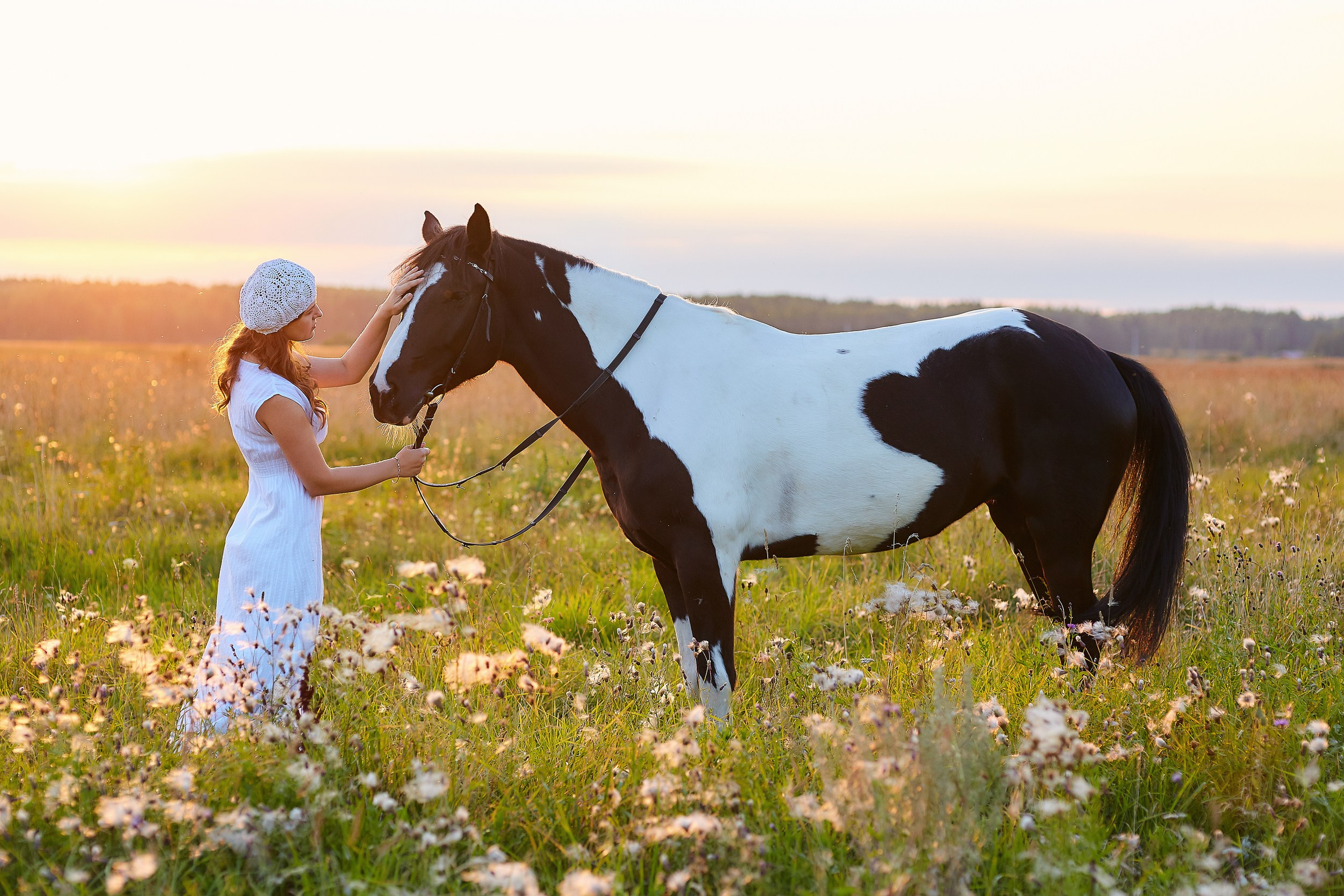 Фотосессия с лошадьми для Ирины. Фотограф Михаил Семенов