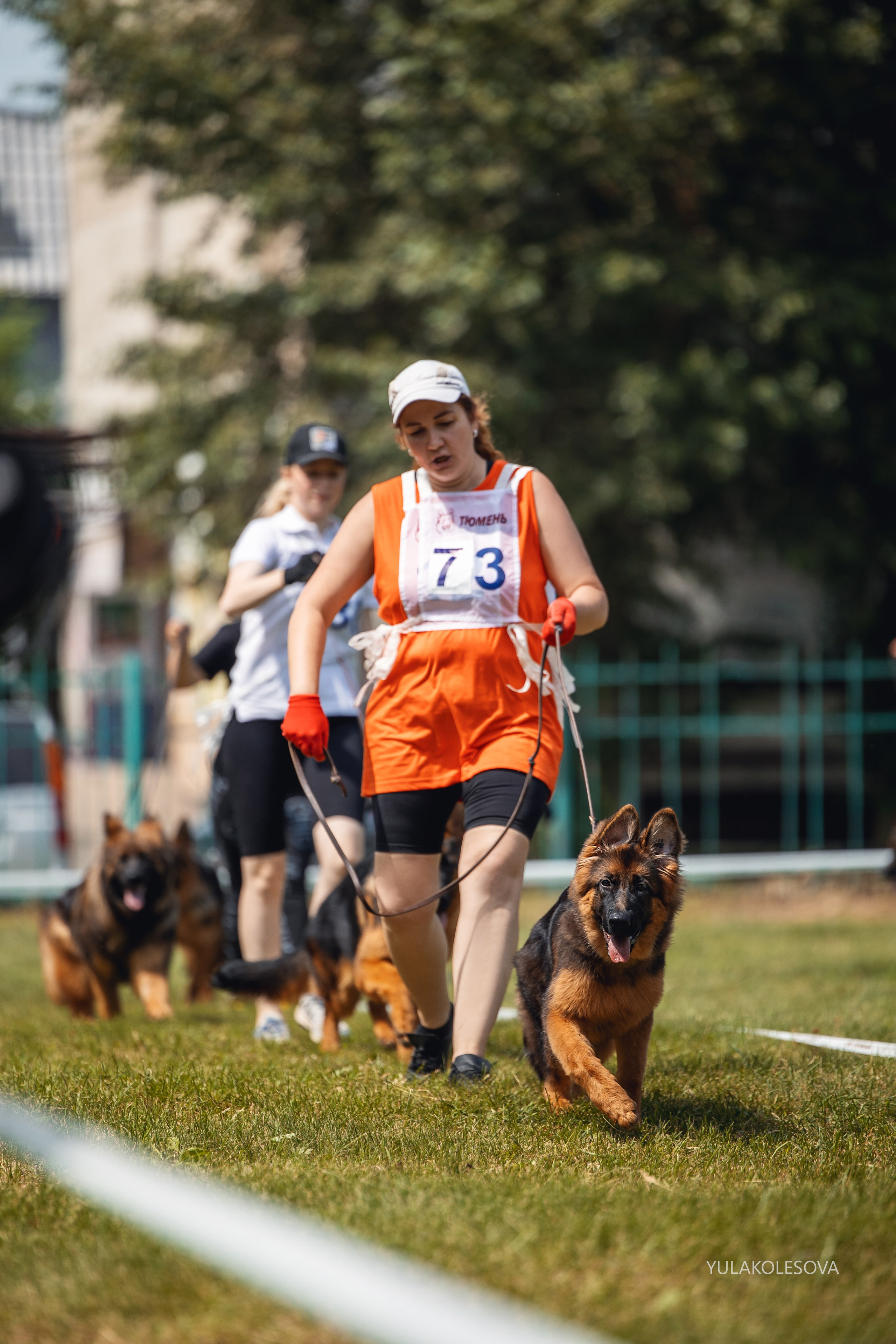 6.07.2024 Выставка немецких овчарок г. Тюмень. YULA KOLESOVA | Фотограф — Анималист | Художник | Тюмень