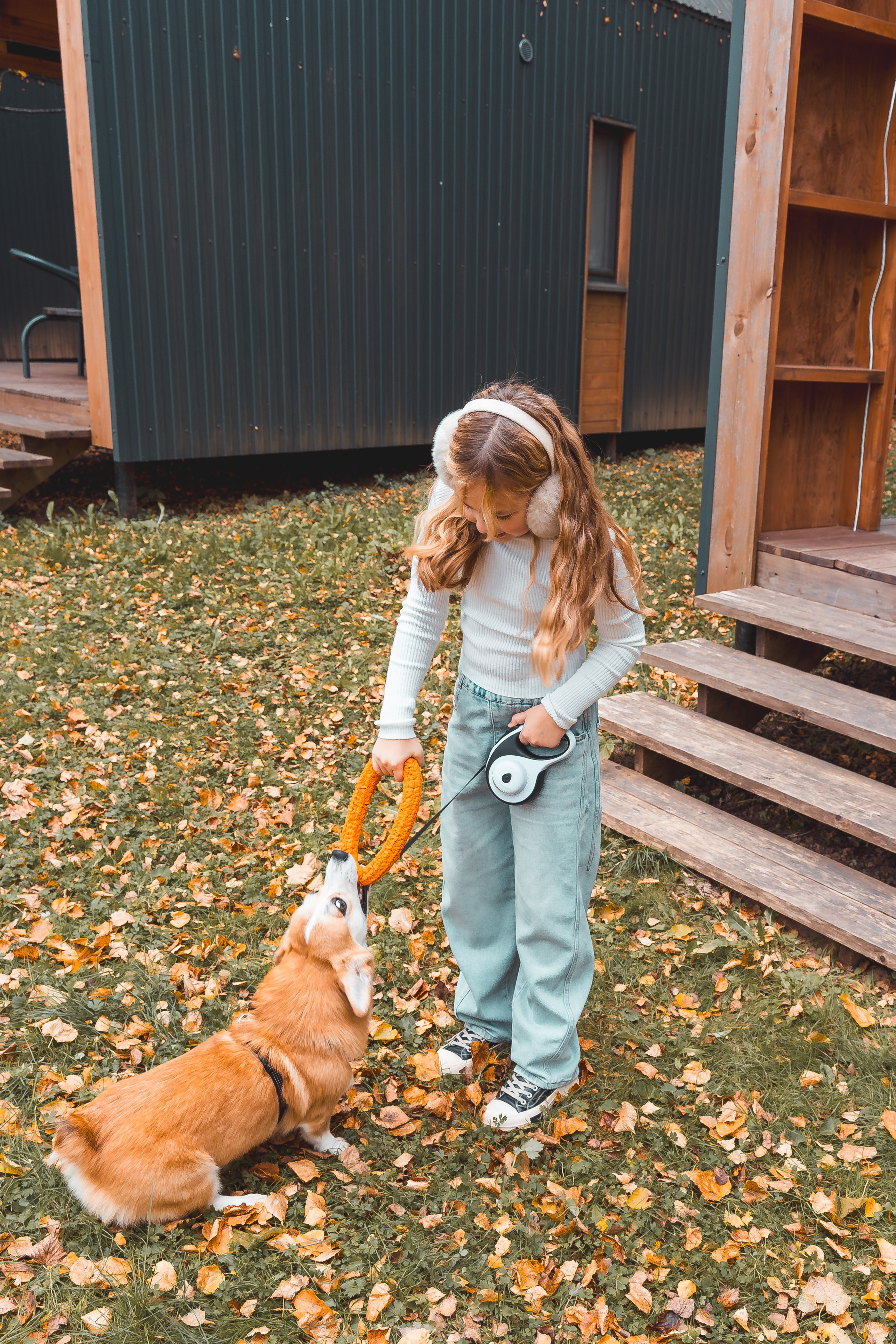 девочка играет с собачкой корги