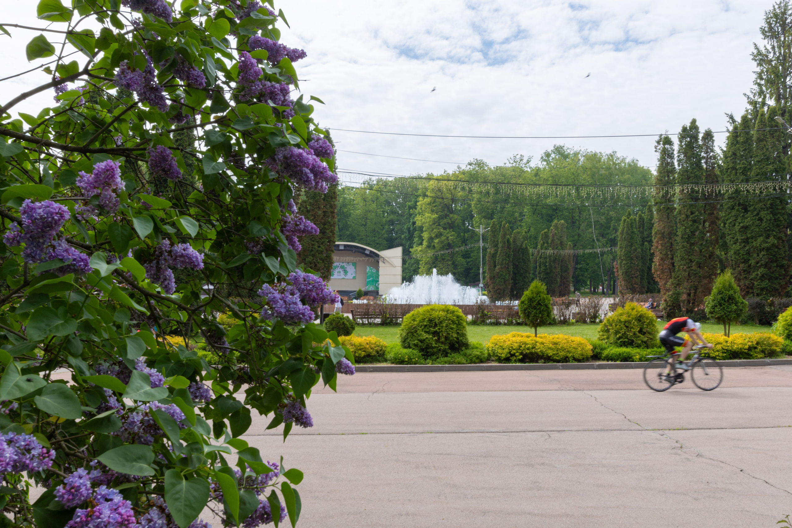 Парк им. П. П. Белоусова г. Тула 2024 г. Фотограф в Туле Крупский АнДРей. Фотостудия «КАДР71» в Туле