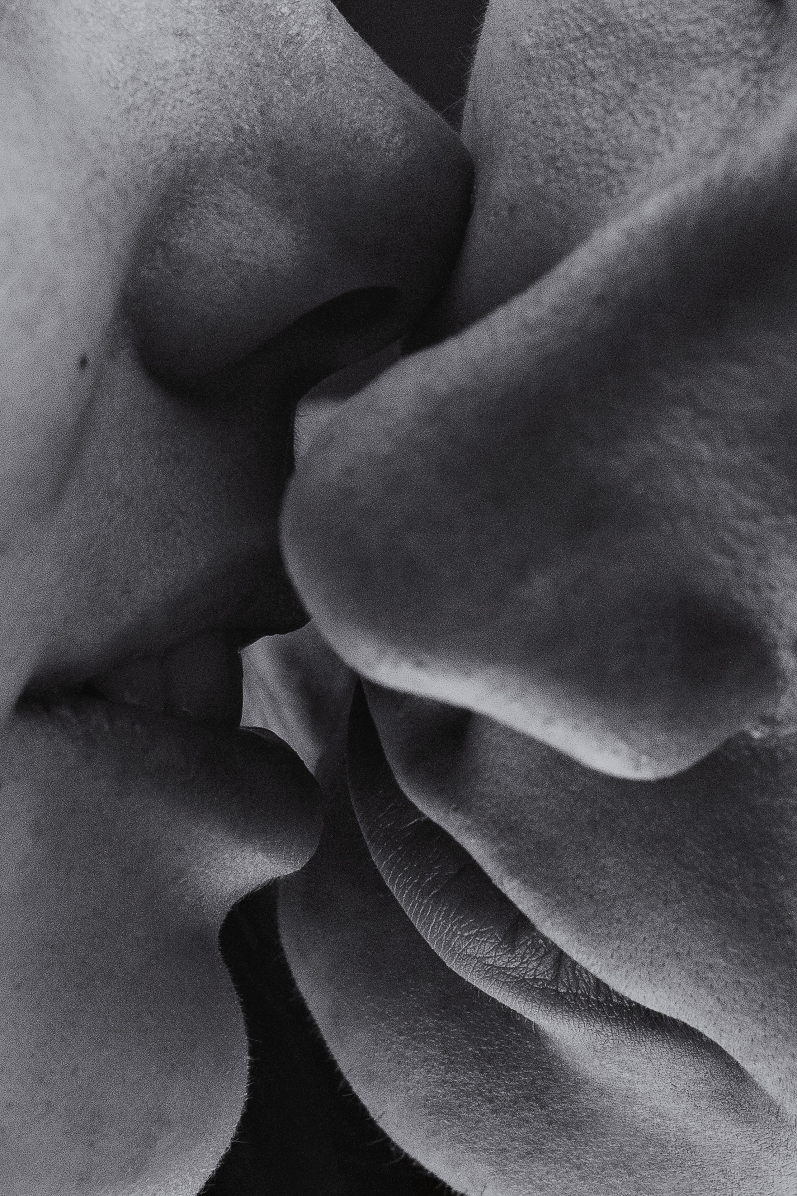 LoveStory. Арт-фотограф Побоева Антонина