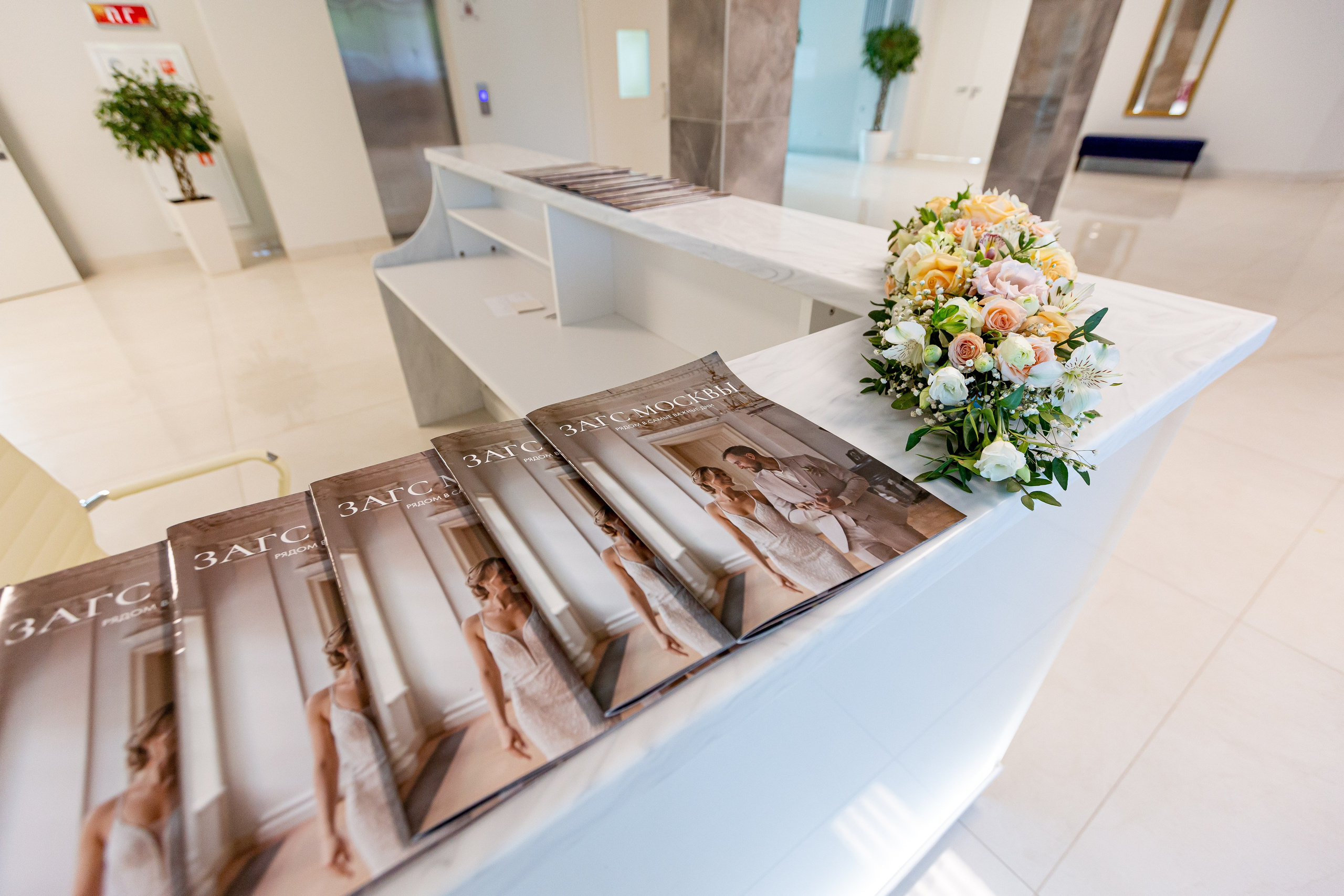 Шипиловский ЗАГС (г.Москва). Профессиональный фотограф Natali Aieteia