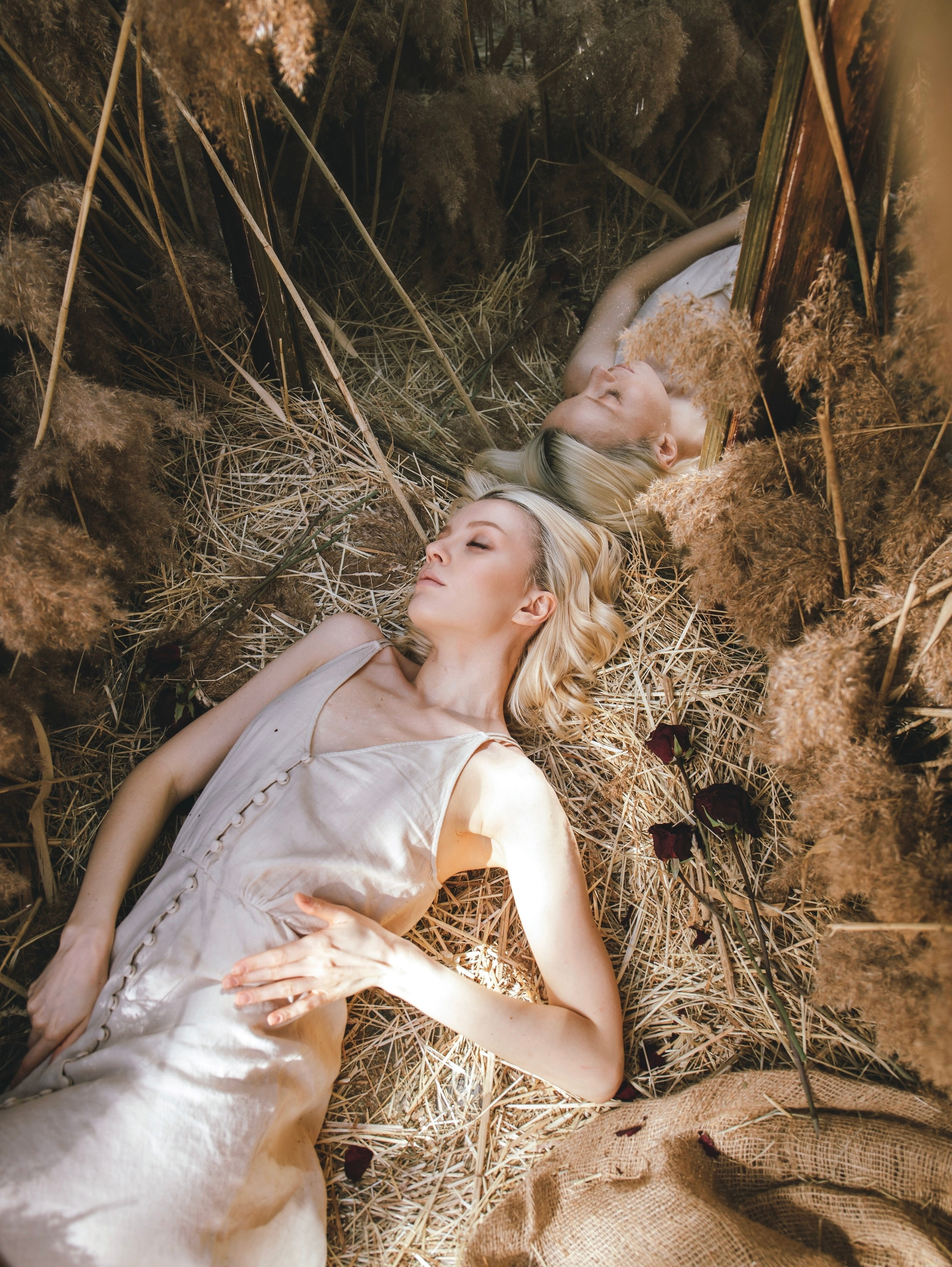 История со скрипкой. Свадебный и семейный фотограф в Москве Мила Широких