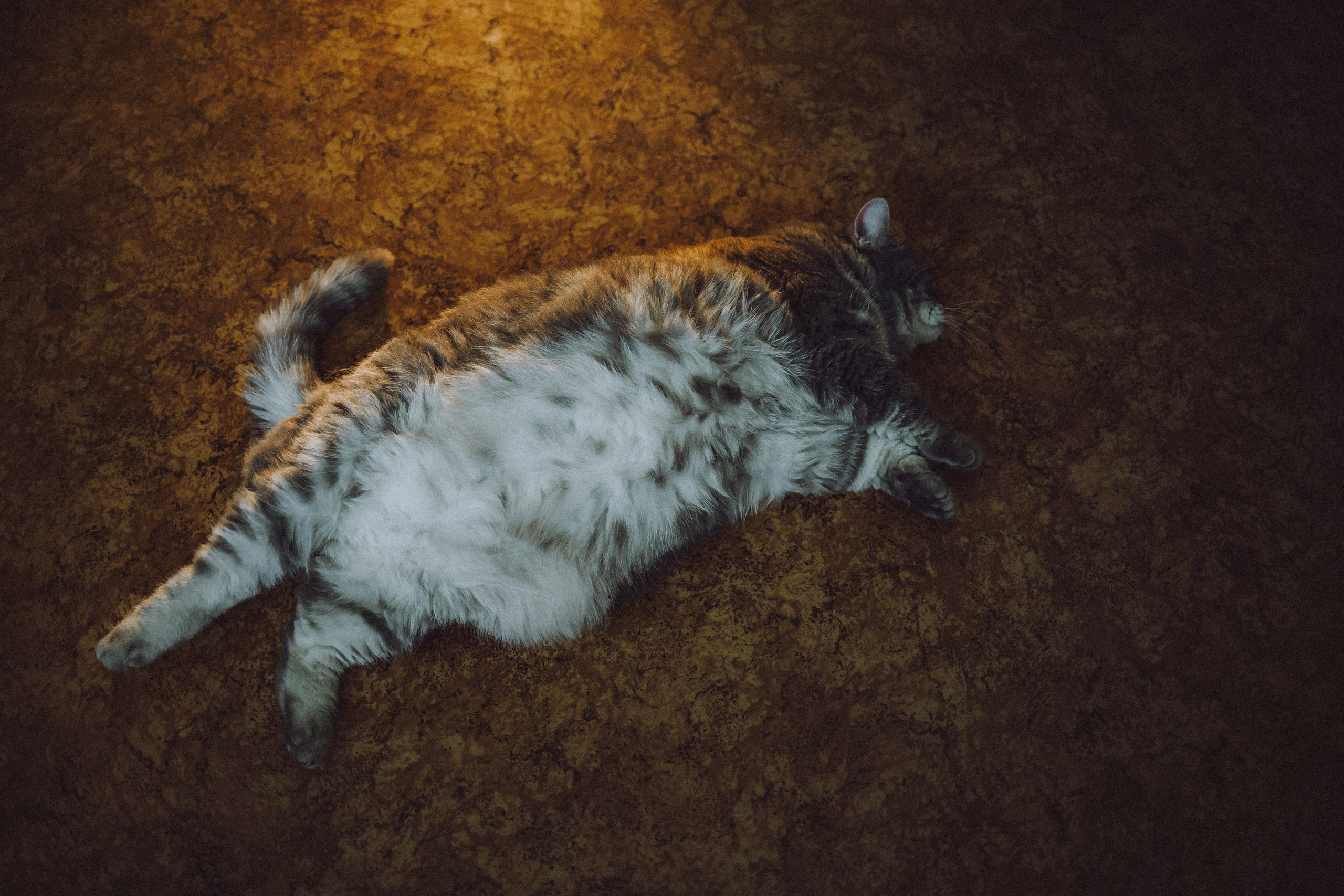 Яся и ее семья